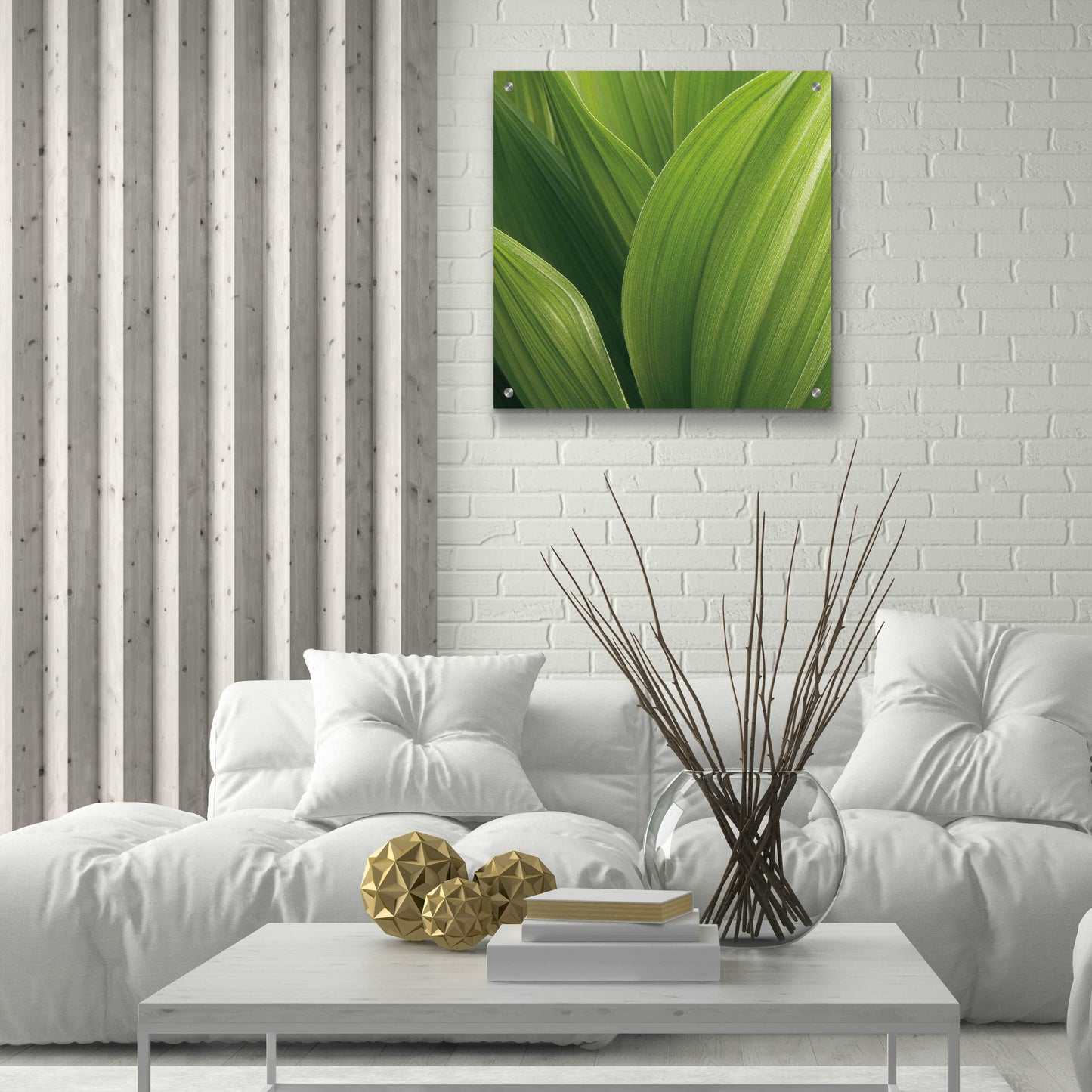 Epic Art 'Corn Lily' by Jan Bell Acrylic Glass Wall Art,24x24