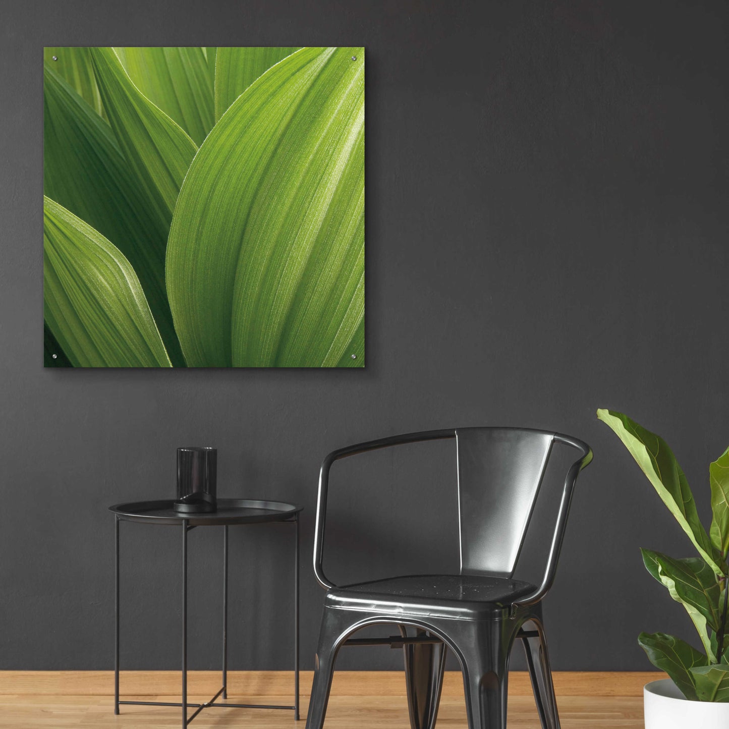 Epic Art 'Corn Lily' by Jan Bell Acrylic Glass Wall Art,36x36