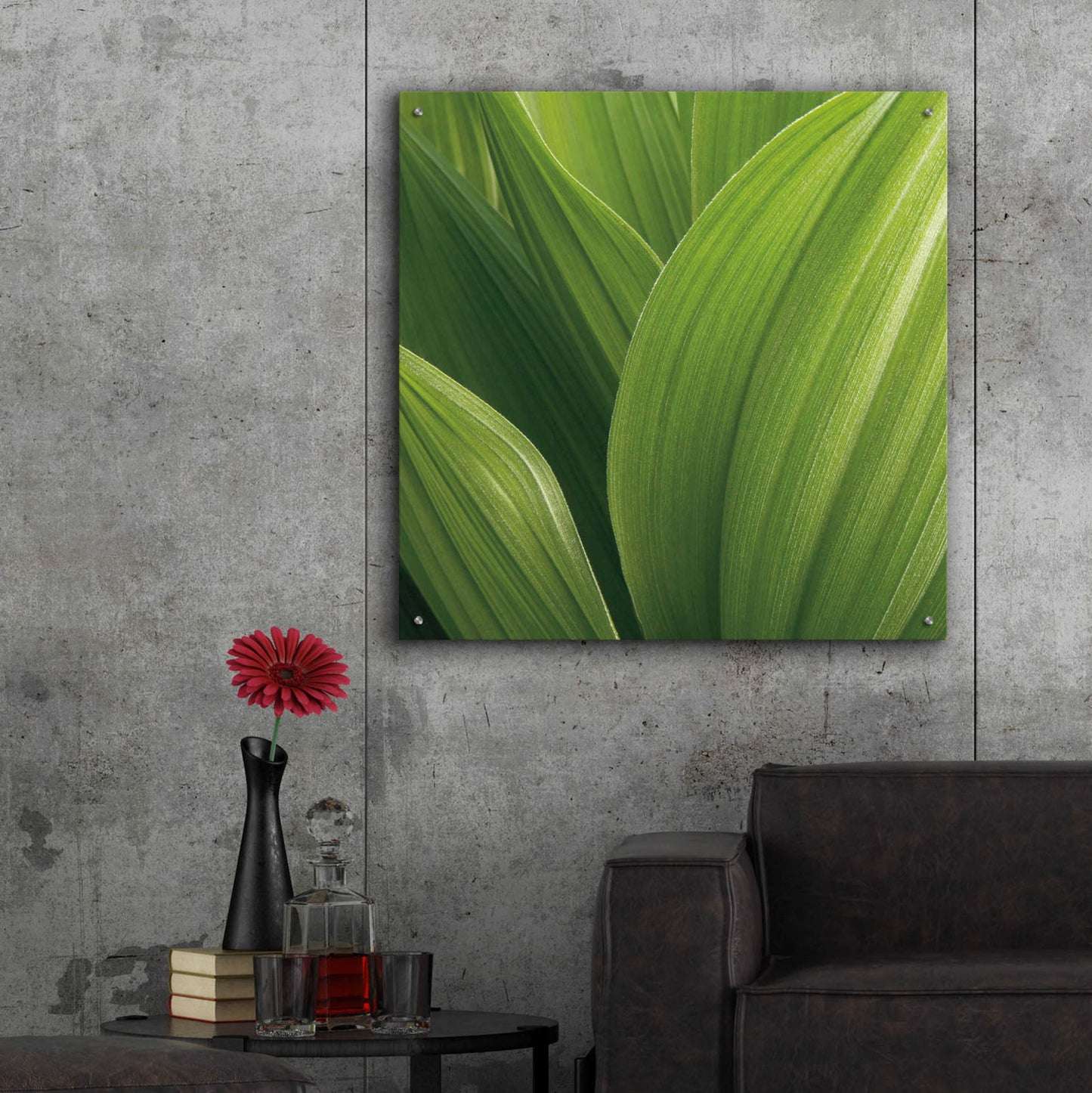 Epic Art 'Corn Lily' by Jan Bell Acrylic Glass Wall Art,36x36