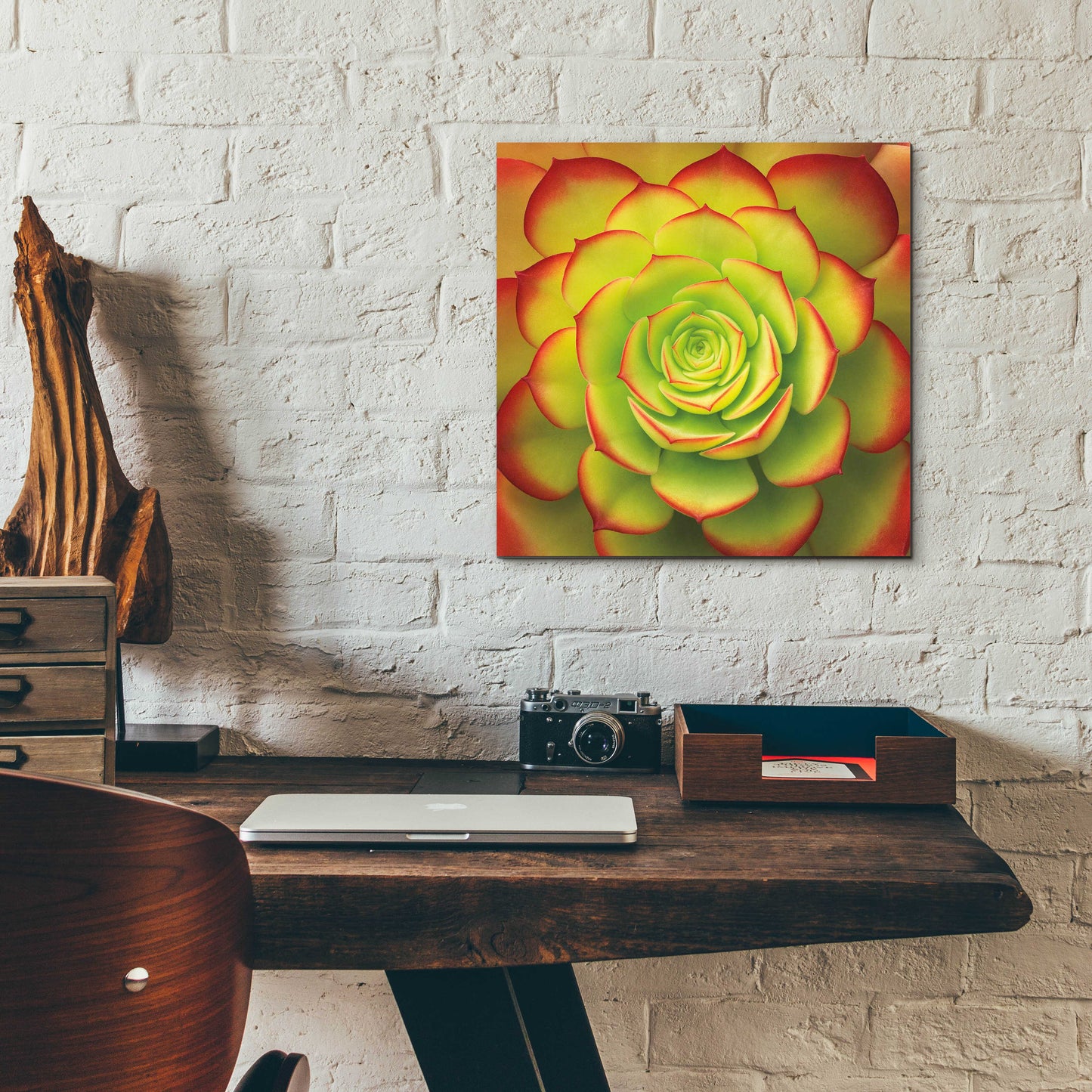 Epic Art 'Fiery Succulent' by Jan Bell Acrylic Glass Wall Art,12x12