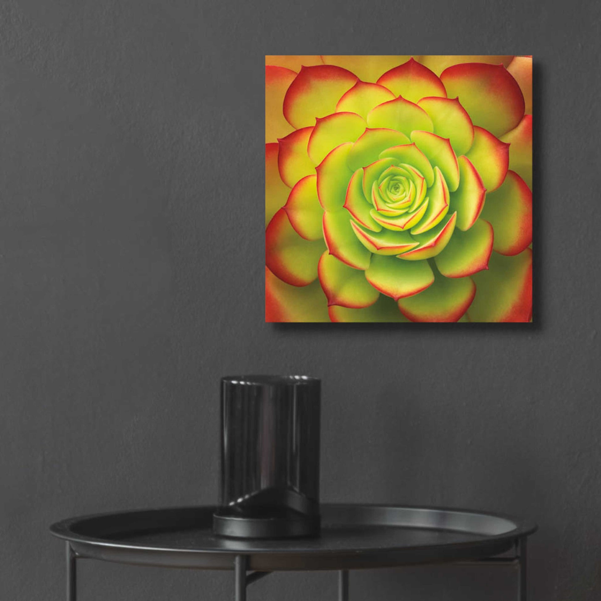 Epic Art 'Fiery Succulent' by Jan Bell Acrylic Glass Wall Art,12x12