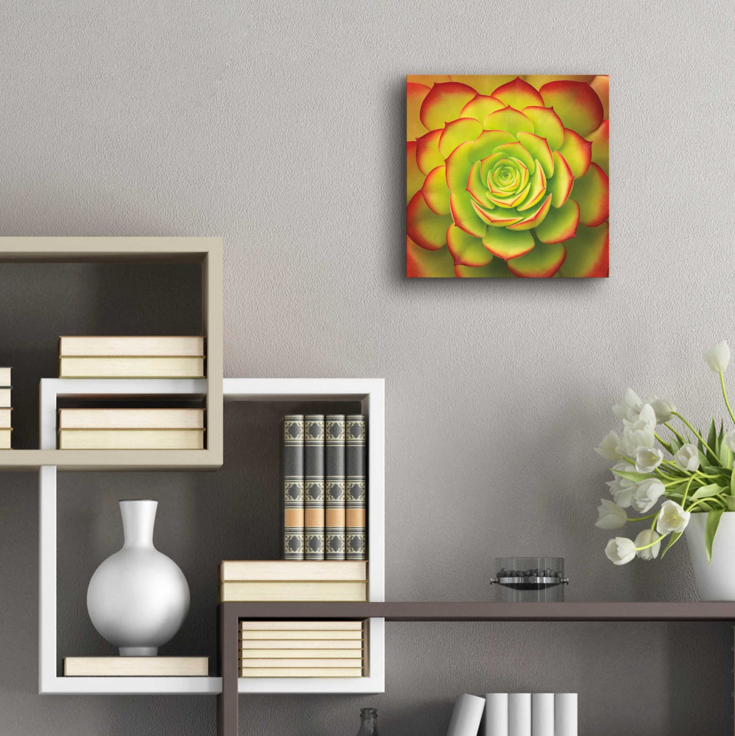 Epic Art 'Fiery Succulent' by Jan Bell Acrylic Glass Wall Art,12x12