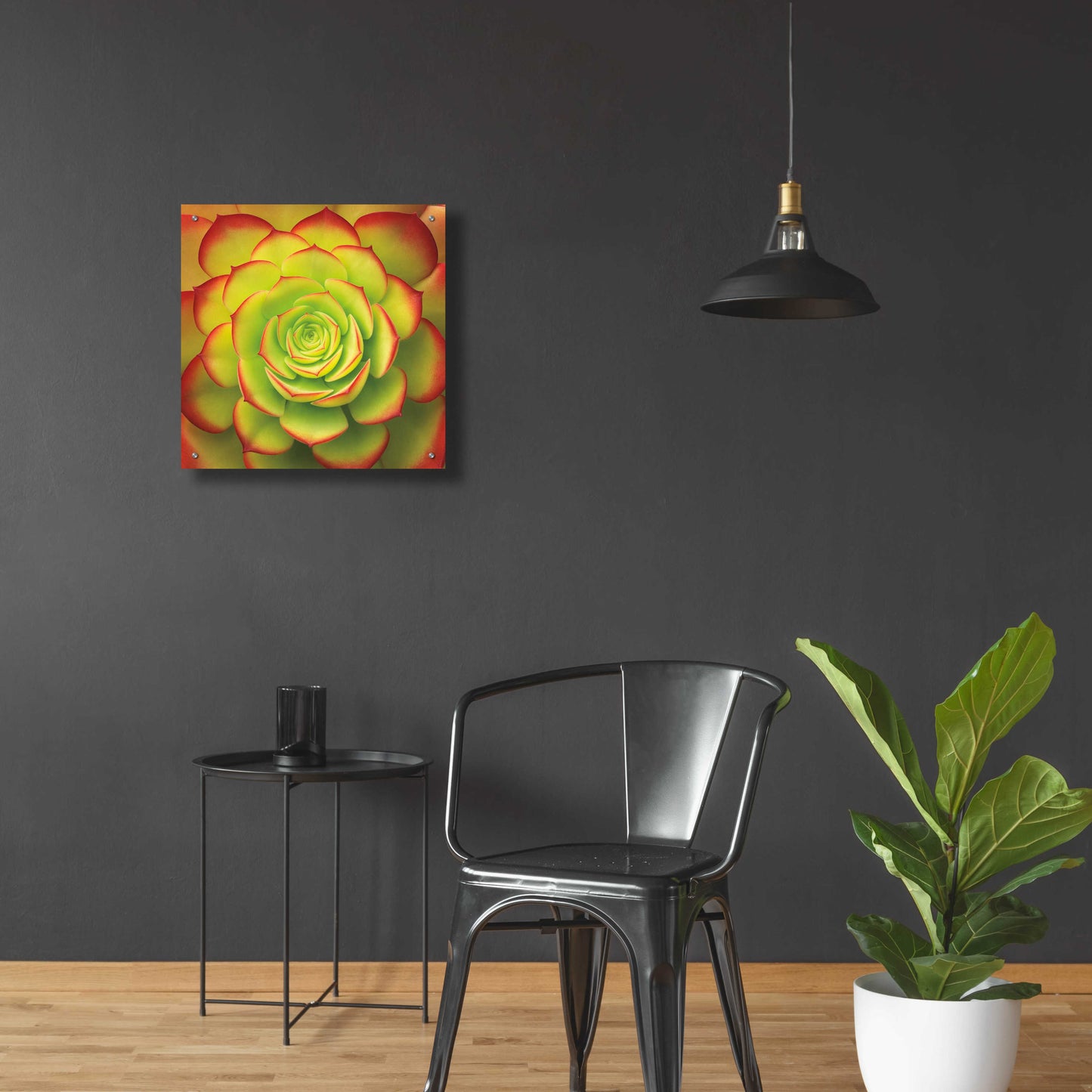 Epic Art 'Fiery Succulent' by Jan Bell Acrylic Glass Wall Art,24x24