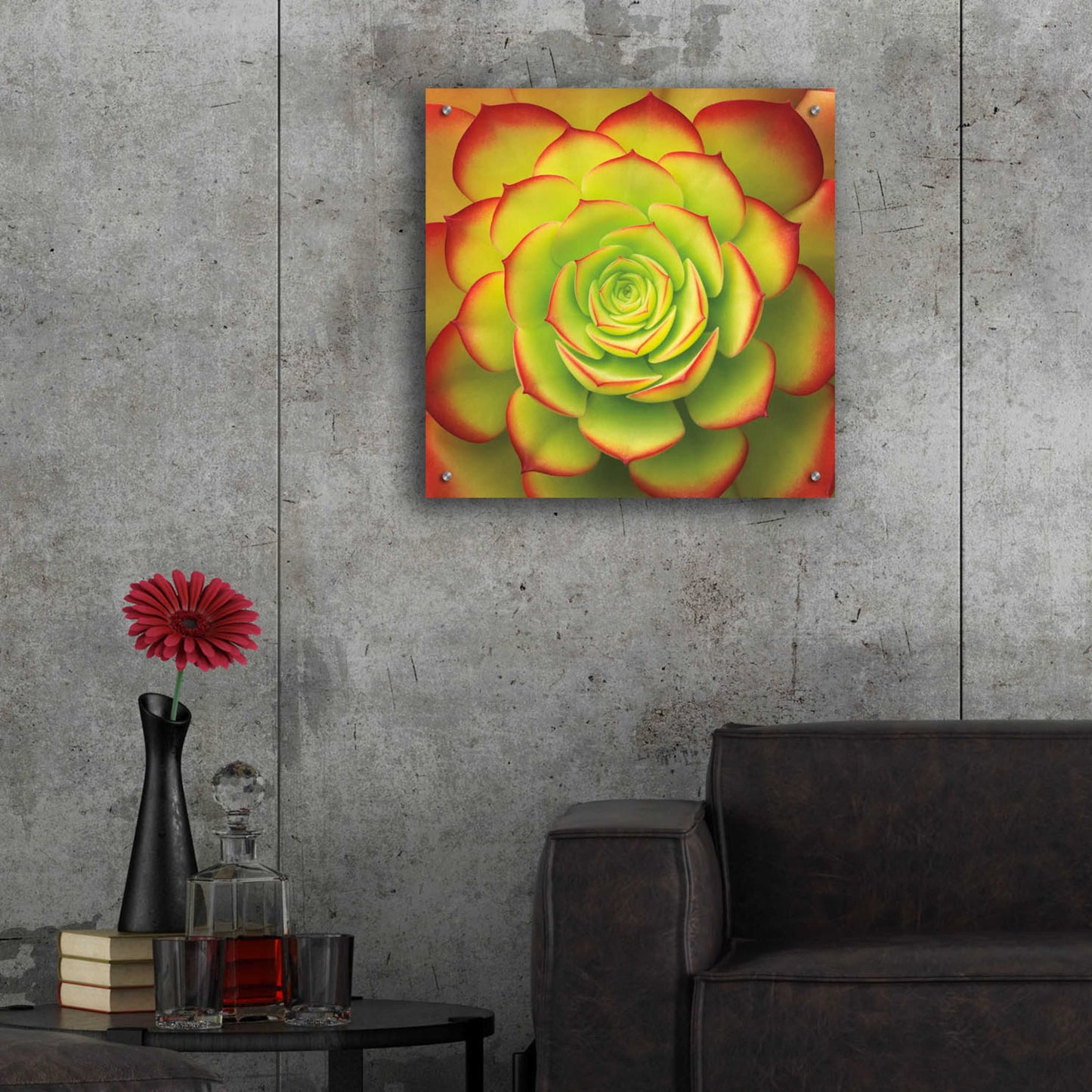 Epic Art 'Fiery Succulent' by Jan Bell Acrylic Glass Wall Art,24x24