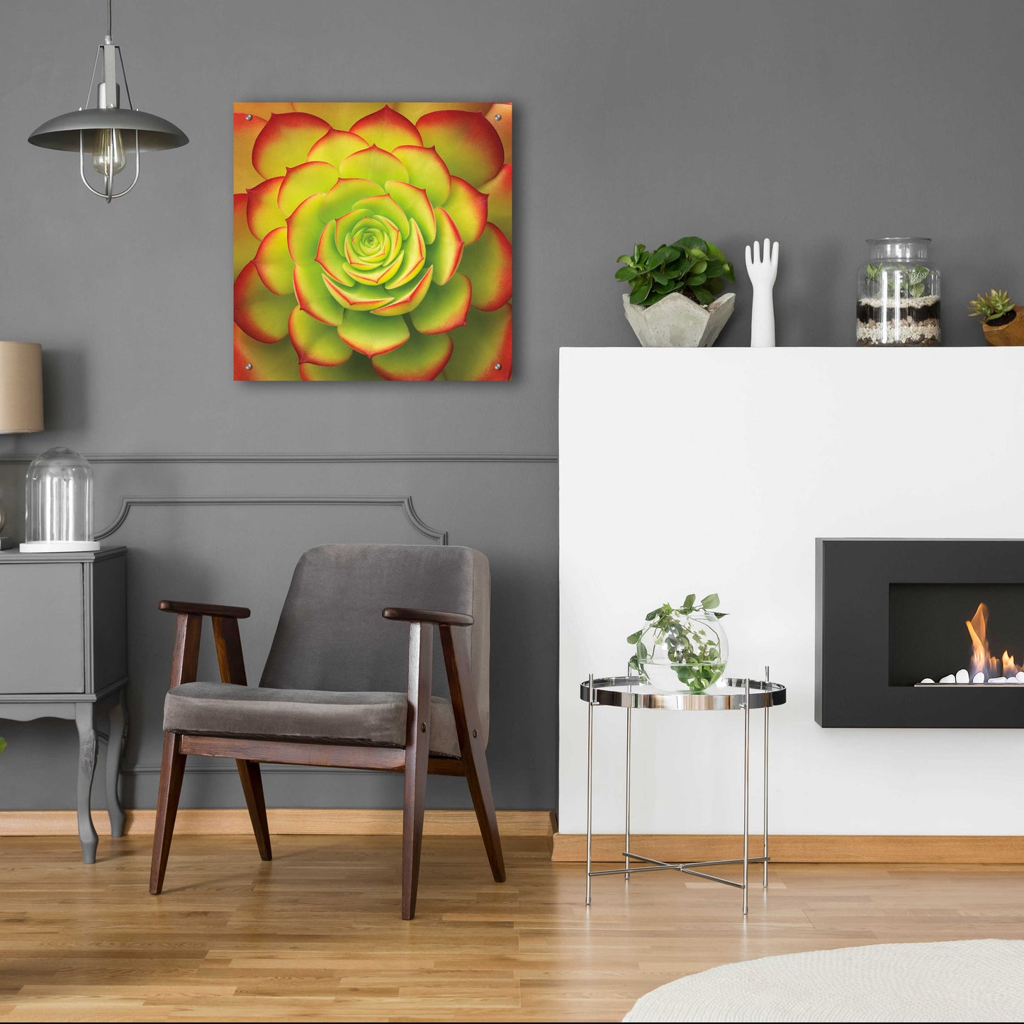 Epic Art 'Fiery Succulent' by Jan Bell Acrylic Glass Wall Art,24x24