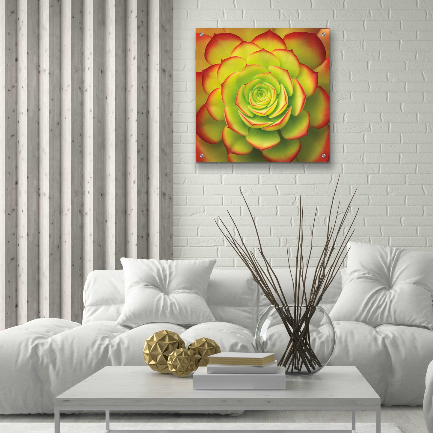 Epic Art 'Fiery Succulent' by Jan Bell Acrylic Glass Wall Art,24x24