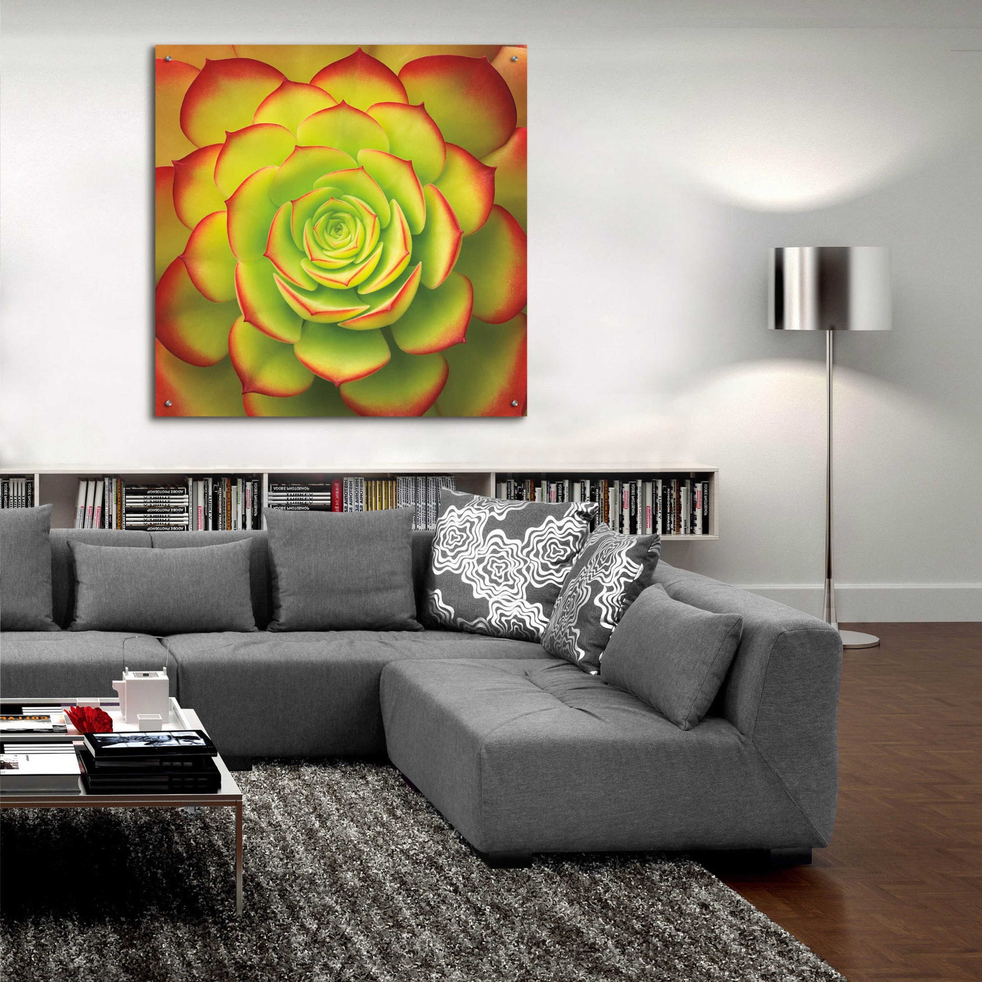 Epic Art 'Fiery Succulent' by Jan Bell Acrylic Glass Wall Art,36x36