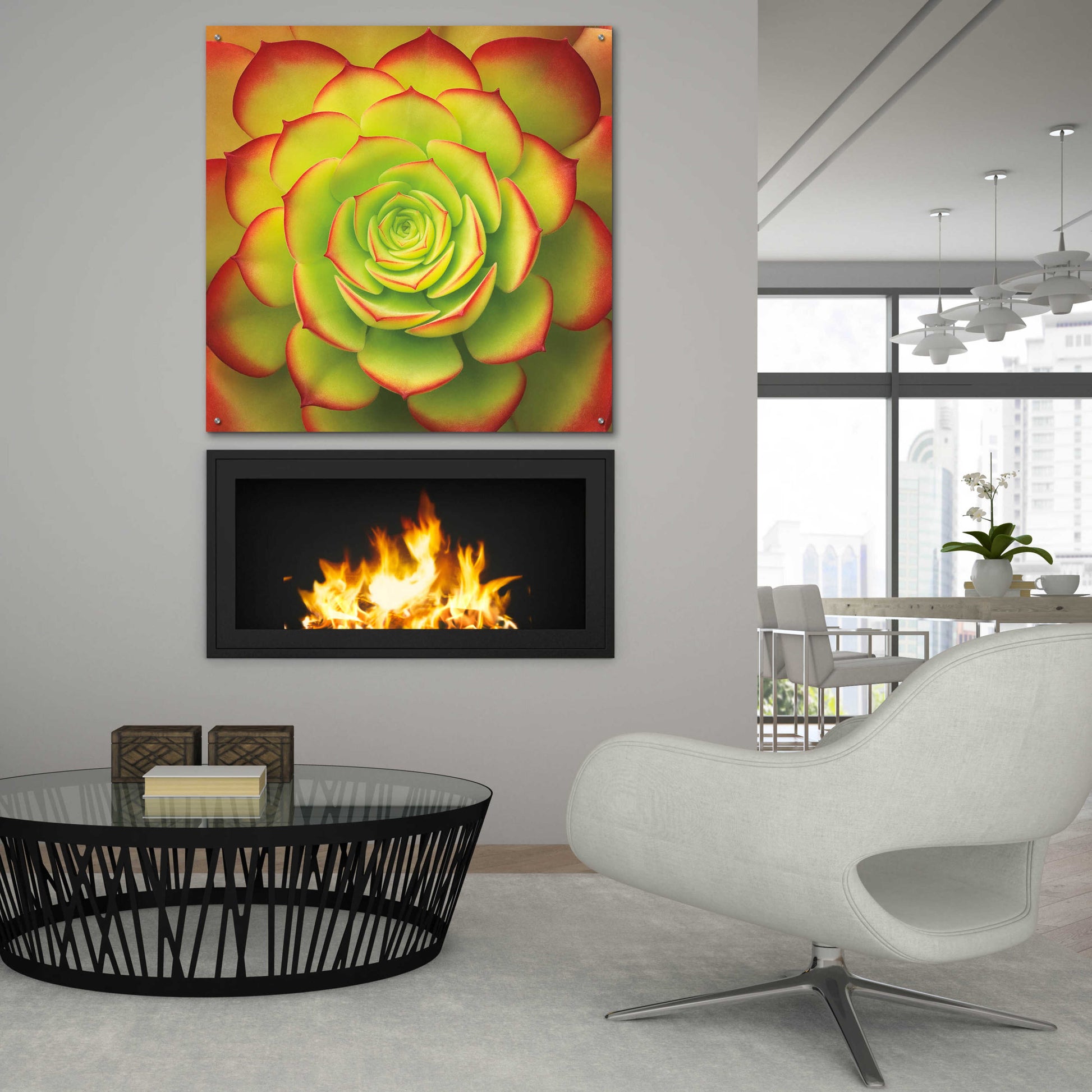 Epic Art 'Fiery Succulent' by Jan Bell Acrylic Glass Wall Art,36x36