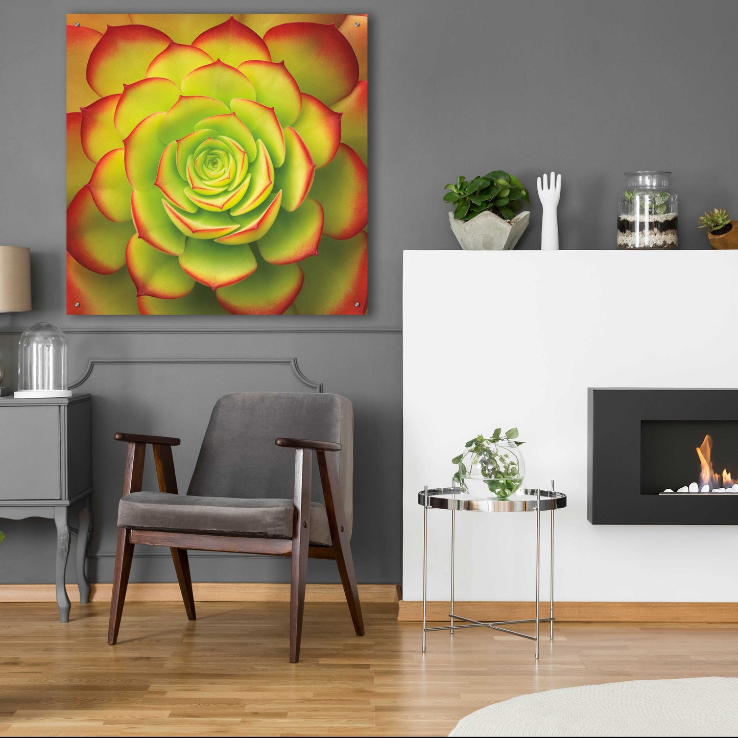 Epic Art 'Fiery Succulent' by Jan Bell Acrylic Glass Wall Art,36x36