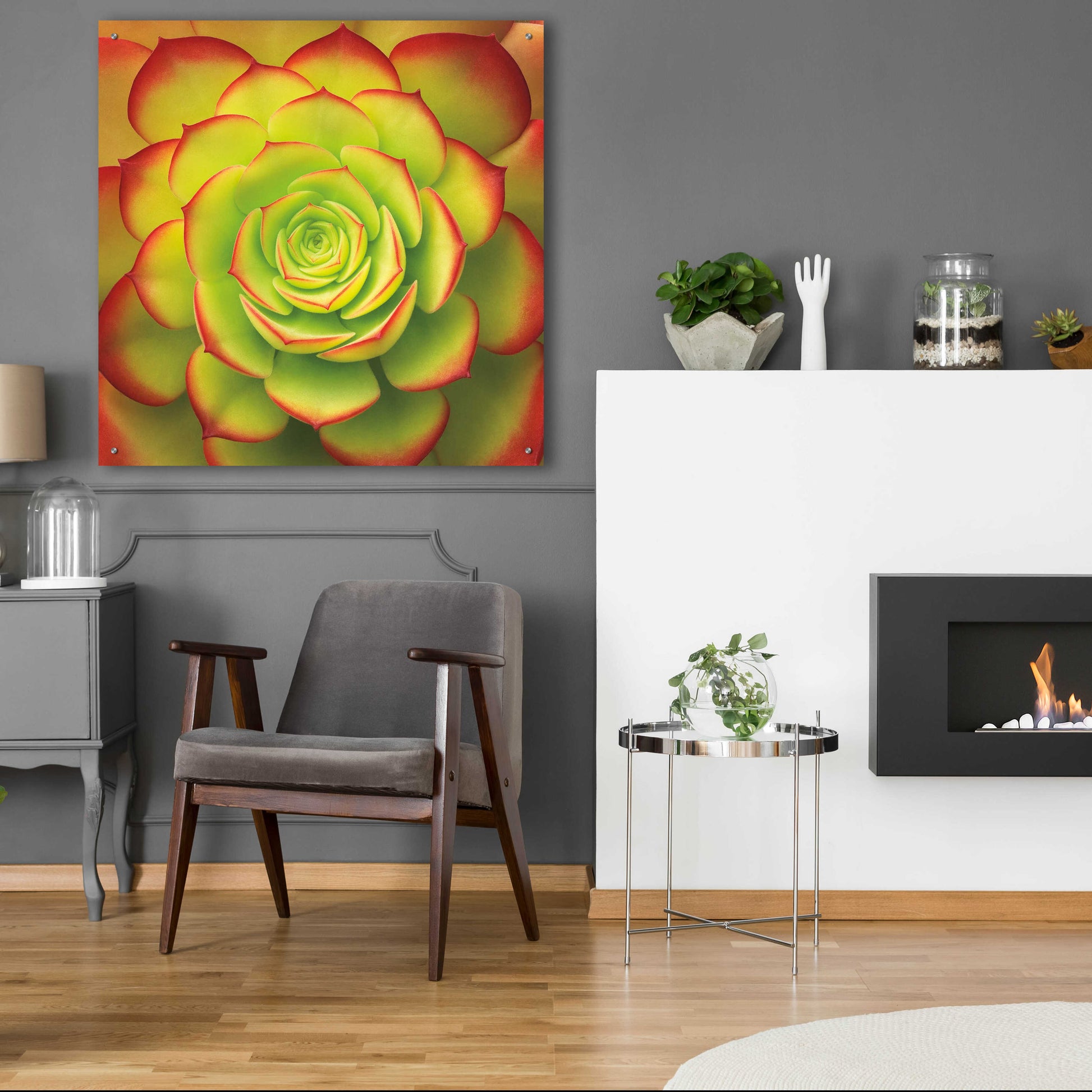 Epic Art 'Fiery Succulent' by Jan Bell Acrylic Glass Wall Art,36x36