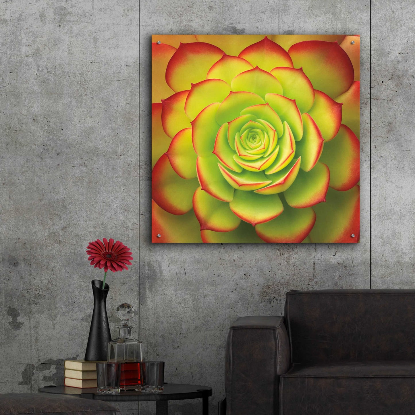 Epic Art 'Fiery Succulent' by Jan Bell Acrylic Glass Wall Art,36x36