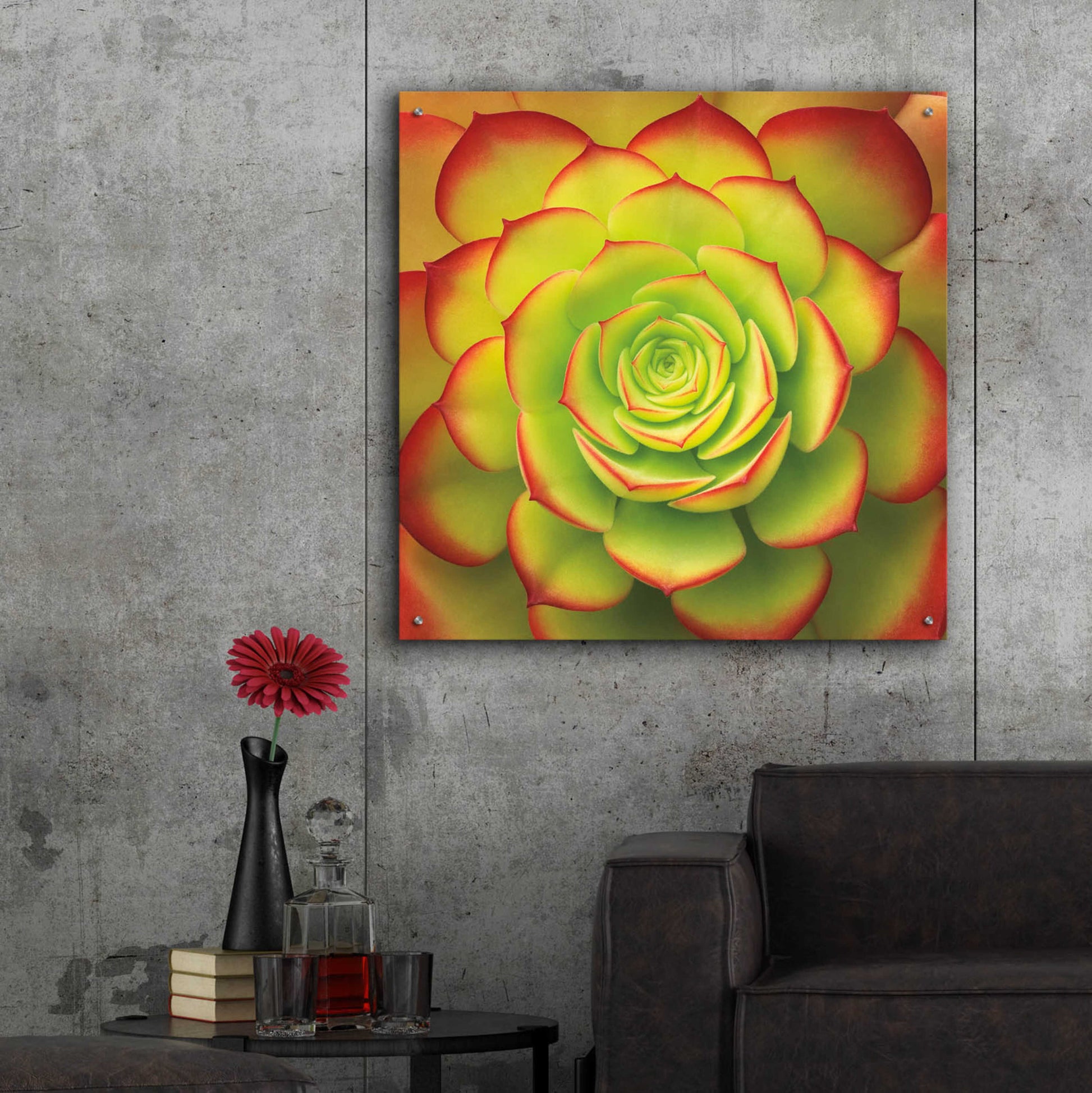 Epic Art 'Fiery Succulent' by Jan Bell Acrylic Glass Wall Art,36x36