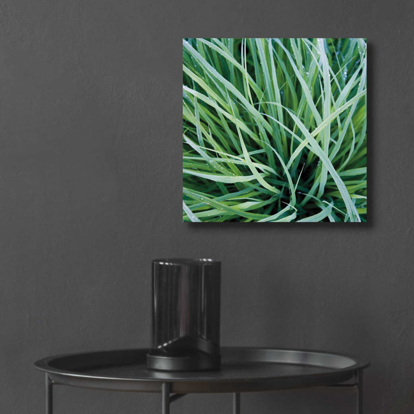 Epic Art 'Grass with Morning Dew' by Jan Bell Acrylic Glass Wall Art,12x12