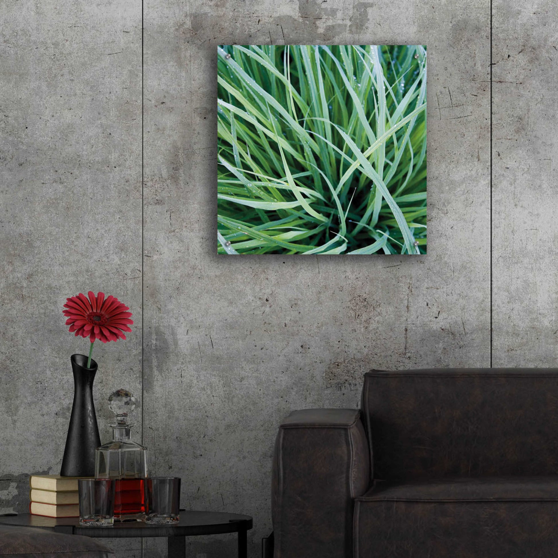 Epic Art 'Grass with Morning Dew' by Jan Bell Acrylic Glass Wall Art,24x24