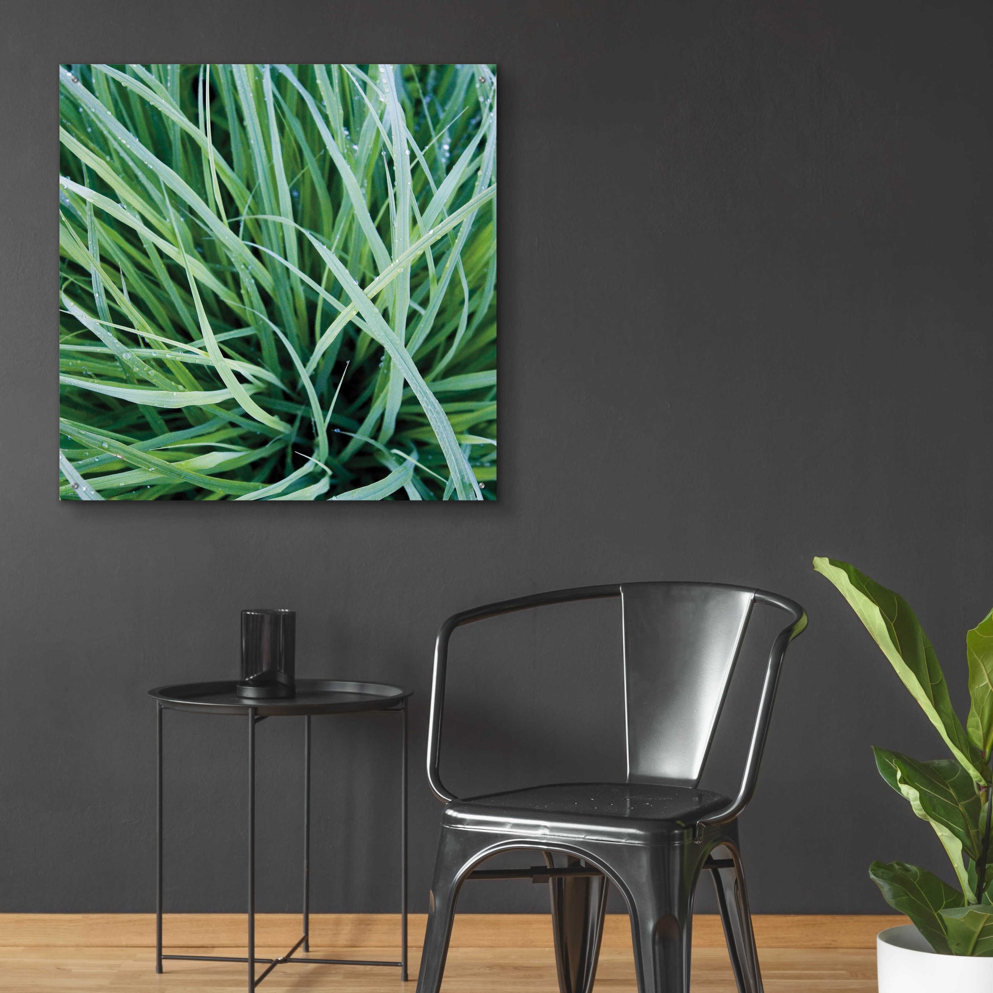 Epic Art 'Grass with Morning Dew' by Jan Bell Acrylic Glass Wall Art,36x36