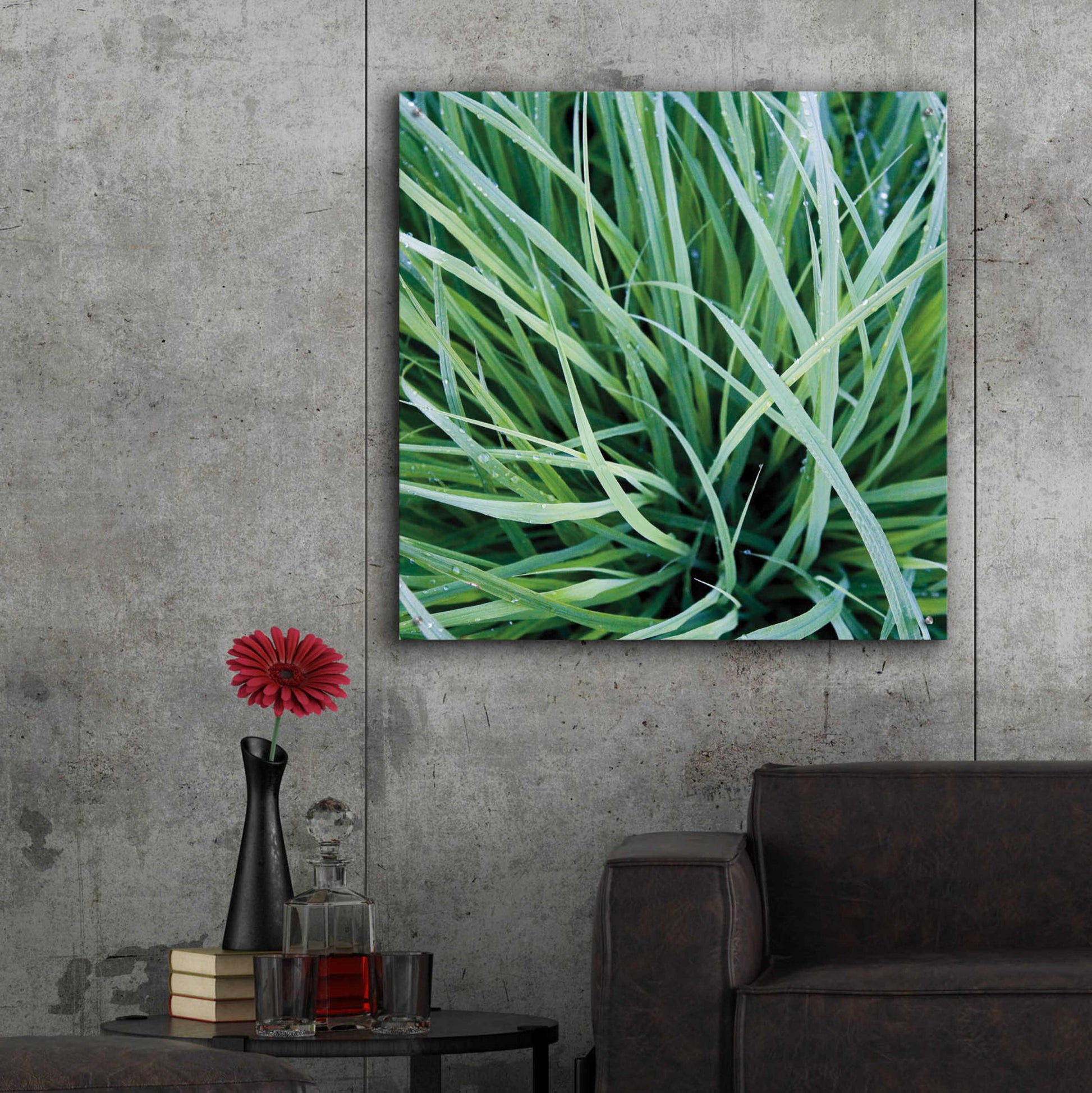 Epic Art 'Grass with Morning Dew' by Jan Bell Acrylic Glass Wall Art,36x36