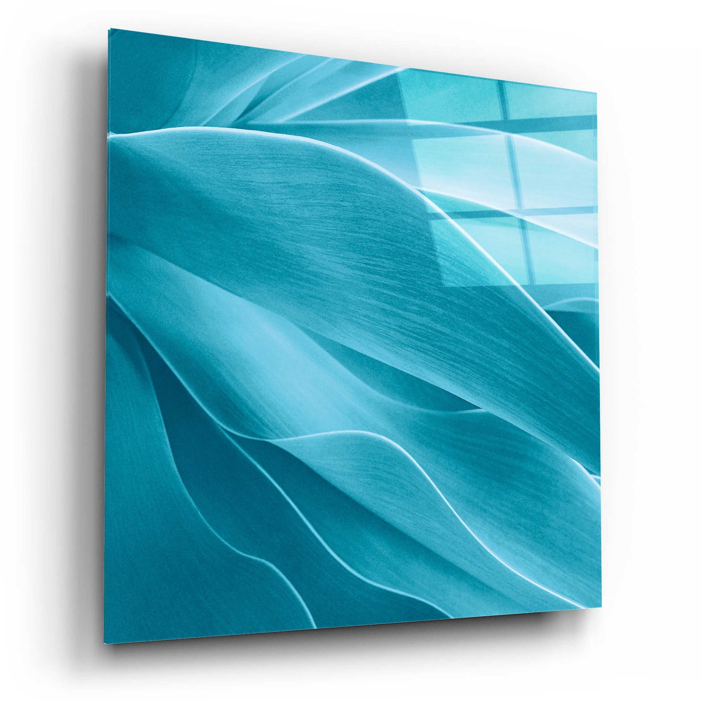 Epic Art 'Succulent' by Jan Bell Acrylic Glass Wall Art,12x12