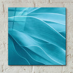 Epic Art 'Succulent' by Jan Bell Acrylic Glass Wall Art,12x12