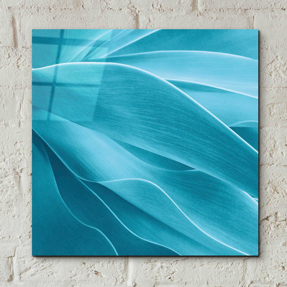 Epic Art 'Succulent' by Jan Bell Acrylic Glass Wall Art,12x12
