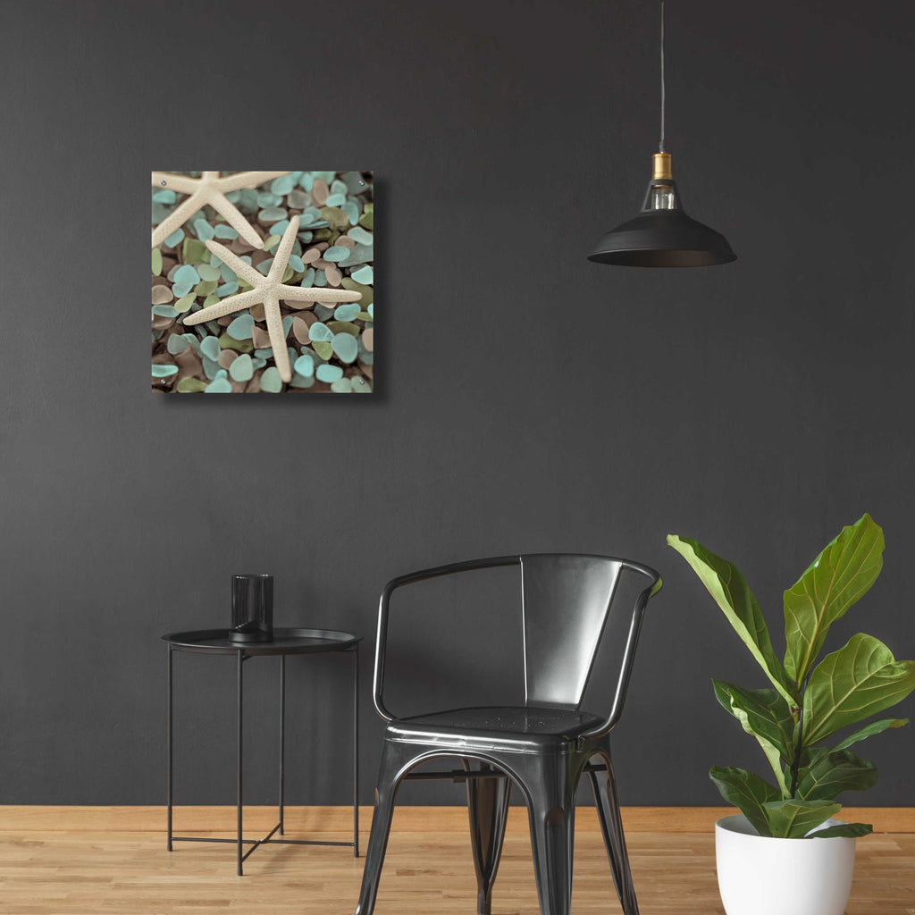 Epic Art 'Aquatic 1' by Alan Blaustein Acrylic Glass Wall Art,24x24
