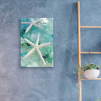Epic Art 'Seaglass 1' by Alan Blaustein Acrylic Glass Wall Art,16x24
