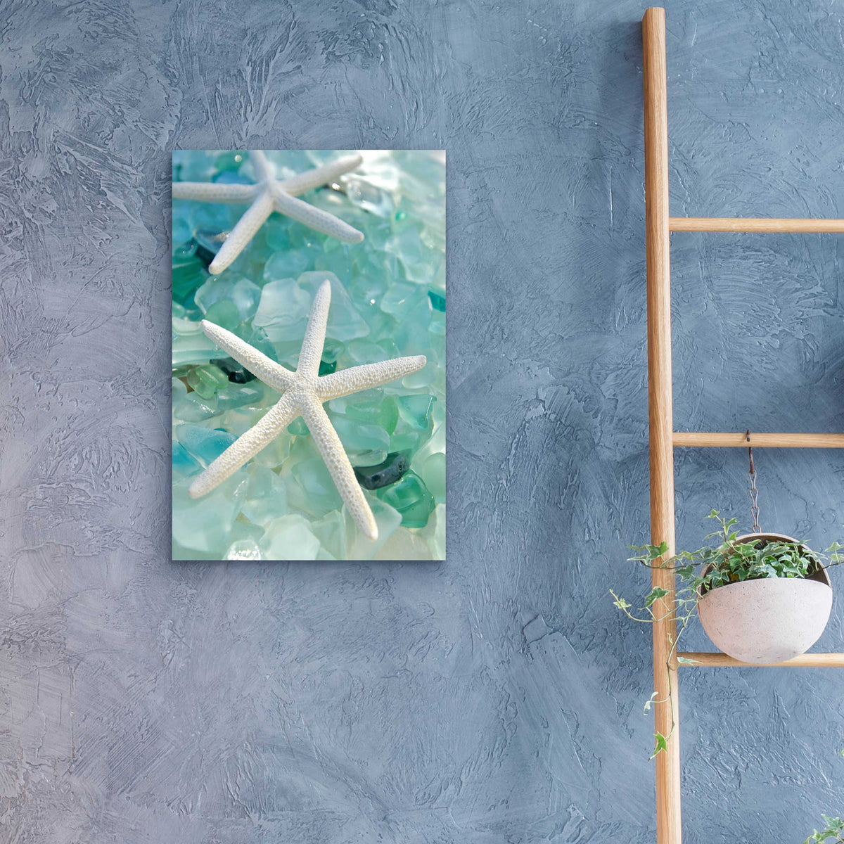Epic Art 'Seaglass 1' by Alan Blaustein Acrylic Glass Wall Art,16x24