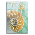 Epic Art 'Seaglass 2' by Alan Blaustein Acrylic Glass Wall Art