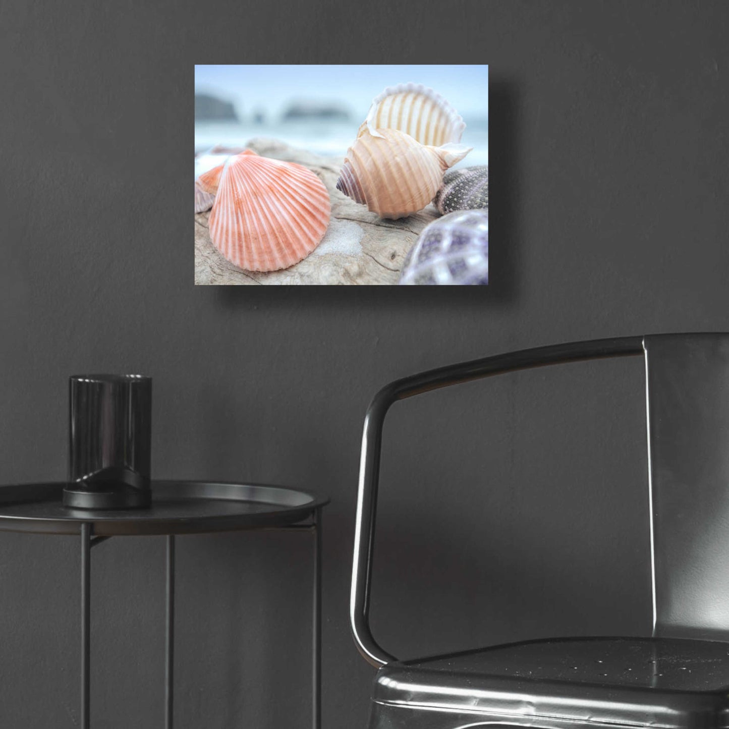 Epic Art 'Crescent Beach Shells 10' by Alan Blaustein Acrylic Glass Wall Art,16x12