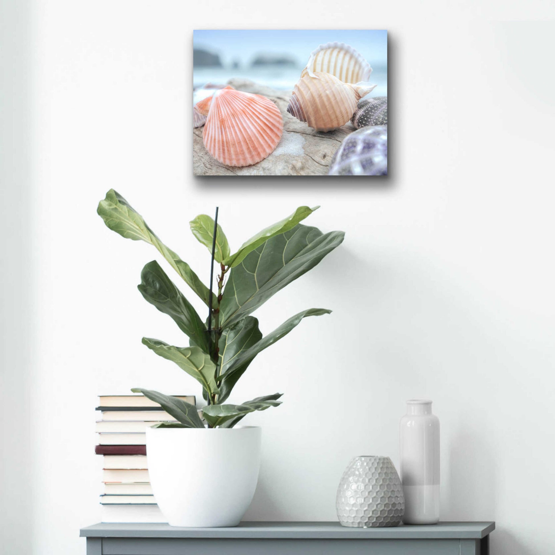 Epic Art 'Crescent Beach Shells 10' by Alan Blaustein Acrylic Glass Wall Art,16x12