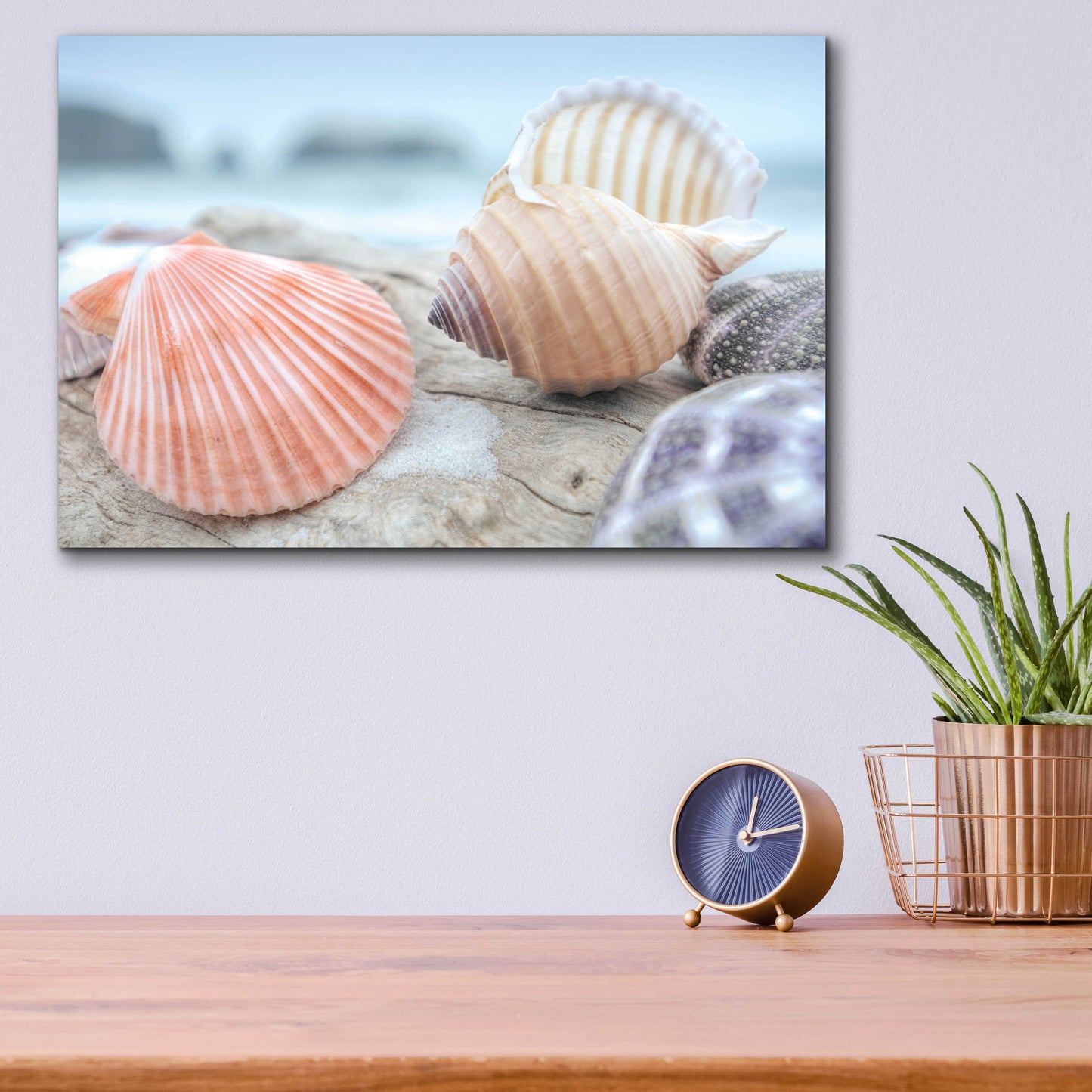 Epic Art 'Crescent Beach Shells 10' by Alan Blaustein Acrylic Glass Wall Art,16x12