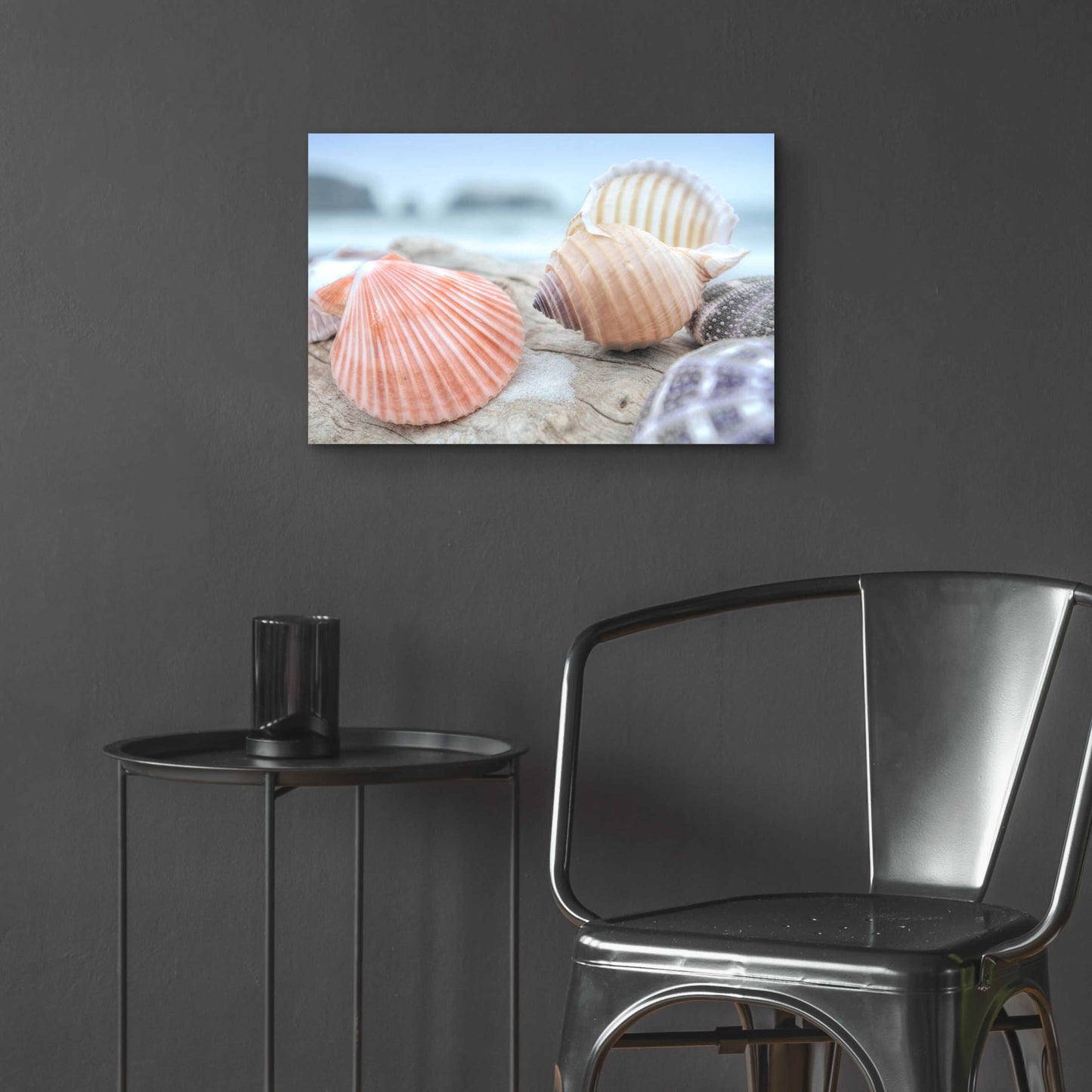 Epic Art 'Crescent Beach Shells 10' by Alan Blaustein Acrylic Glass Wall Art,24x16