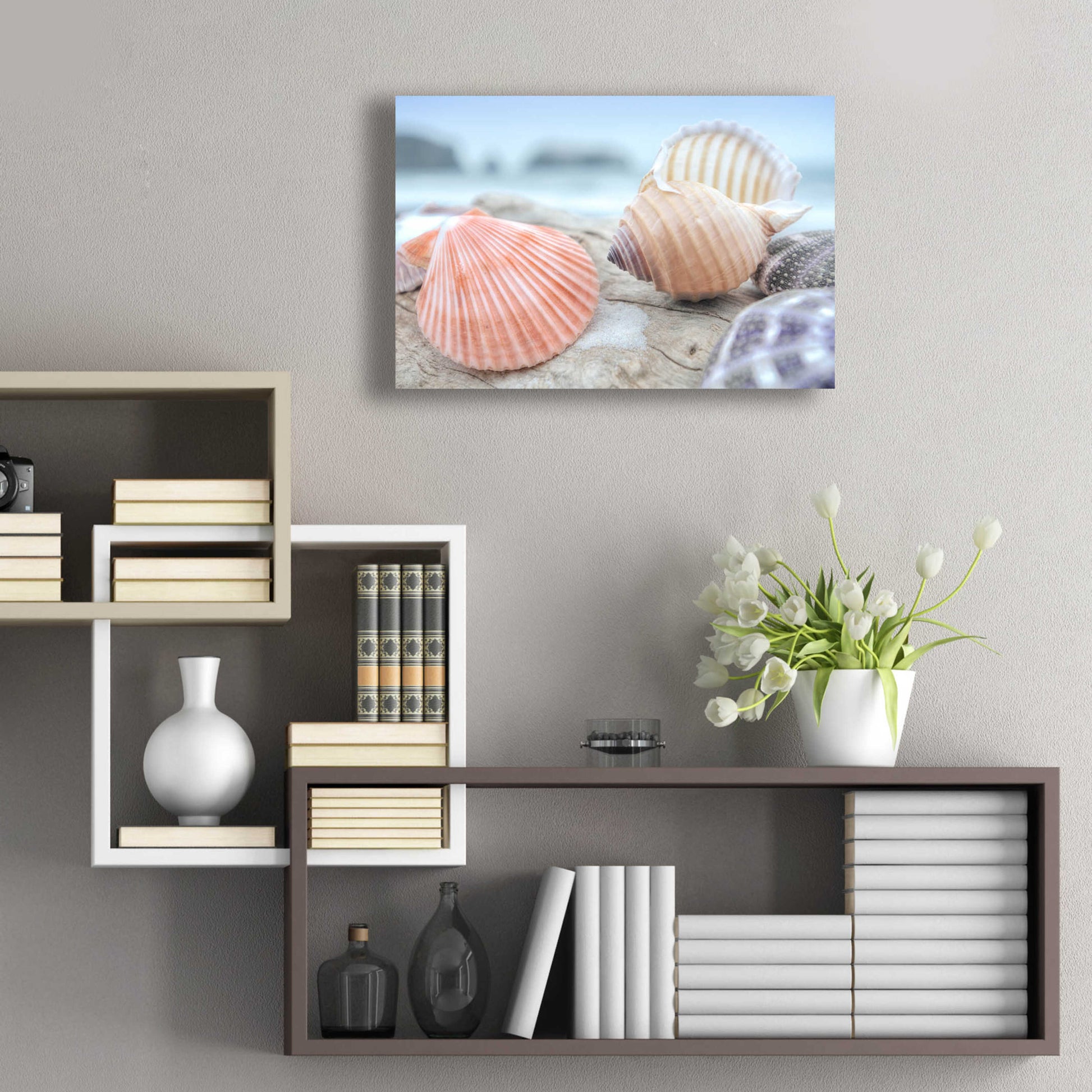 Epic Art 'Crescent Beach Shells 10' by Alan Blaustein Acrylic Glass Wall Art,24x16