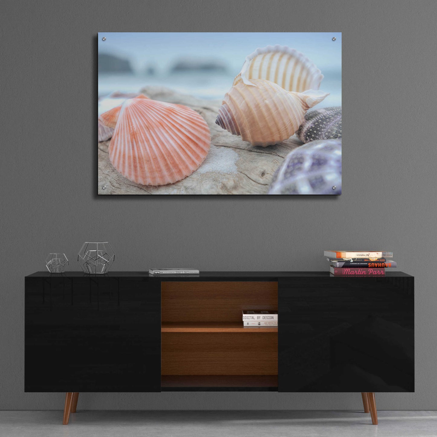 Epic Art 'Crescent Beach Shells 10' by Alan Blaustein Acrylic Glass Wall Art,36x24