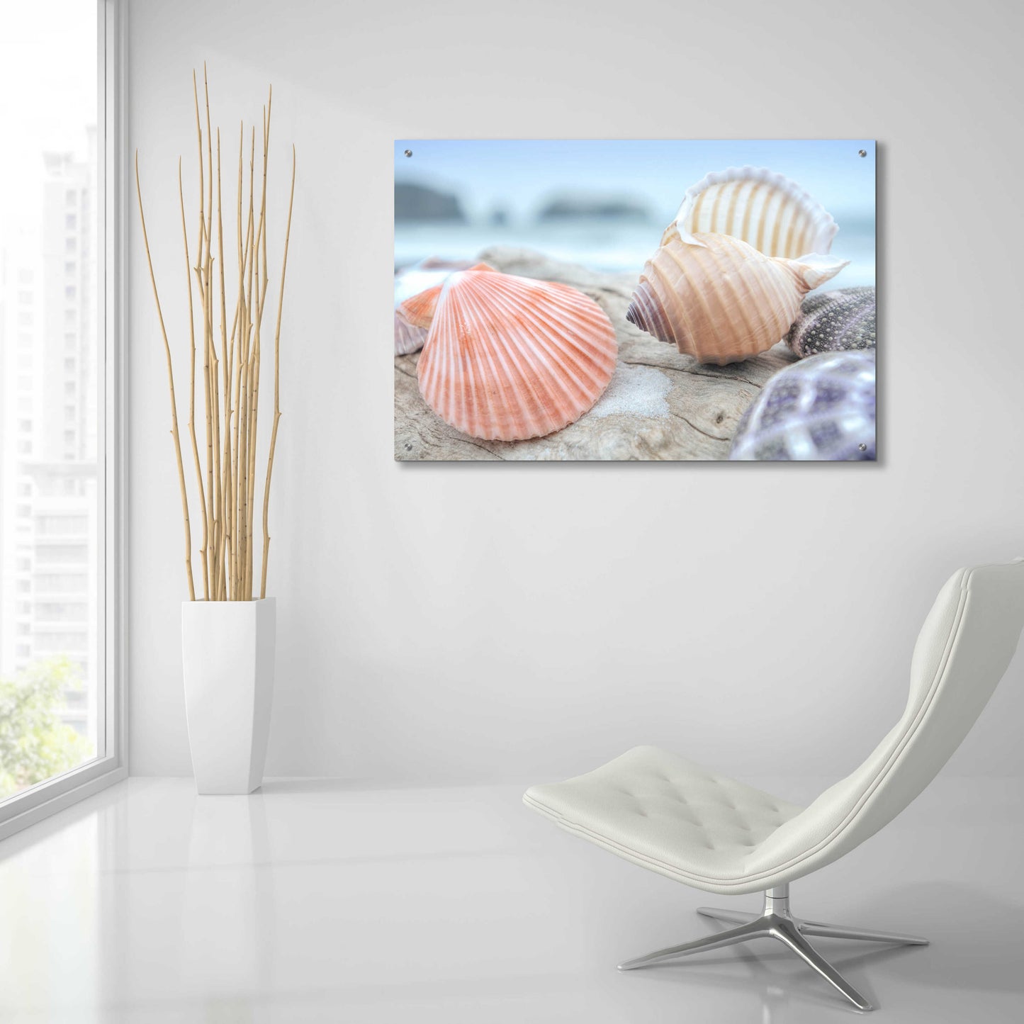 Epic Art 'Crescent Beach Shells 10' by Alan Blaustein Acrylic Glass Wall Art,36x24