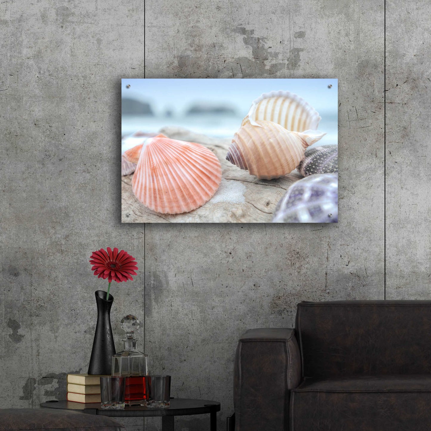 Epic Art 'Crescent Beach Shells 10' by Alan Blaustein Acrylic Glass Wall Art,36x24