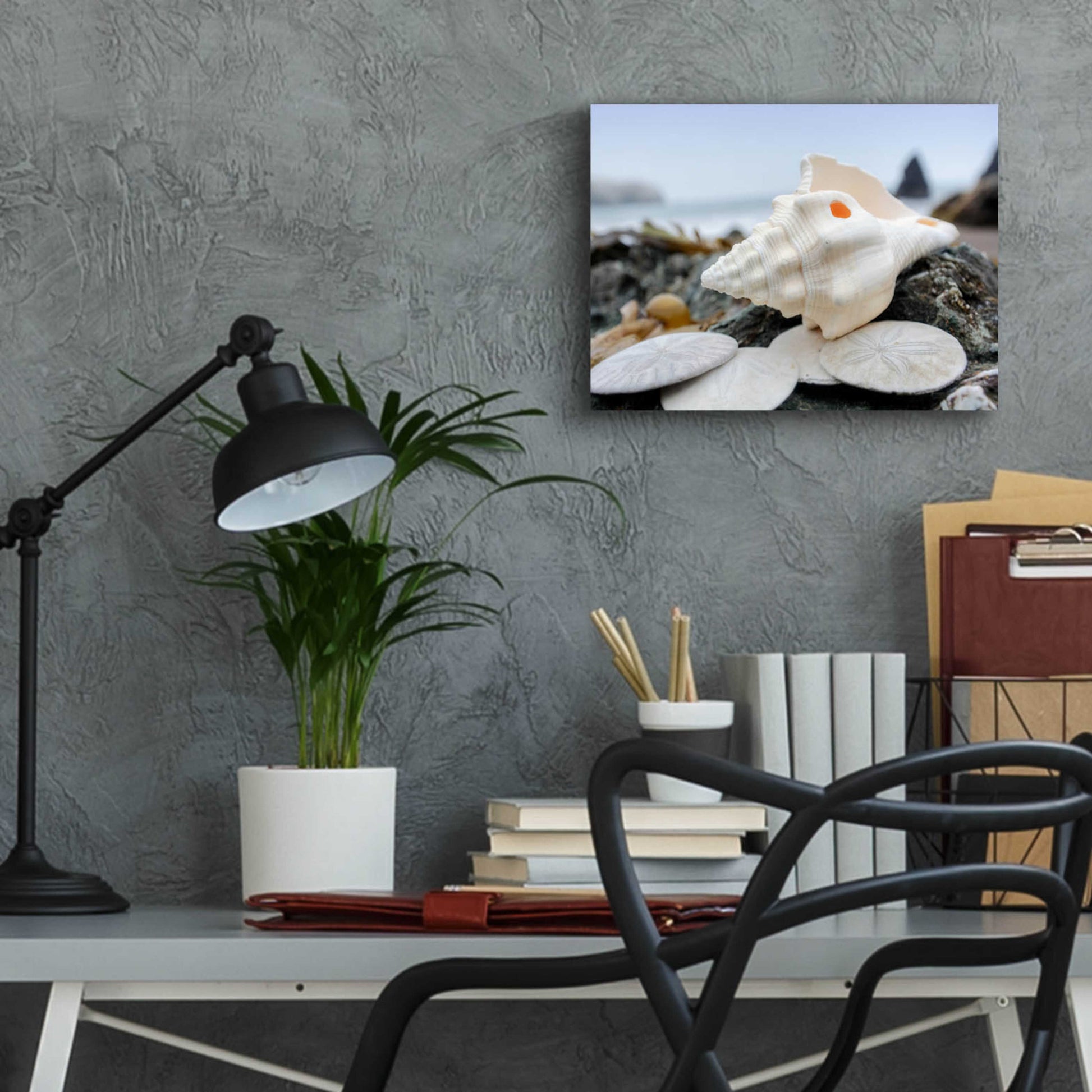 Epic Art 'Crescent Beach Shells 11' by Alan Blaustein Acrylic Glass Wall Art,16x12