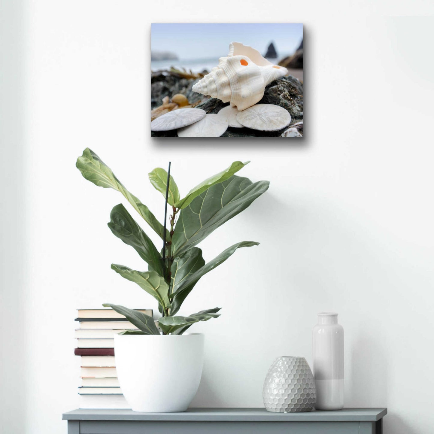 Epic Art 'Crescent Beach Shells 11' by Alan Blaustein Acrylic Glass Wall Art,16x12