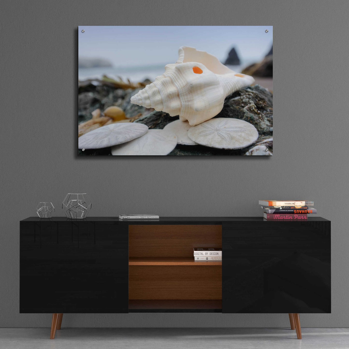 Epic Art 'Crescent Beach Shells 11' by Alan Blaustein Acrylic Glass Wall Art,36x24