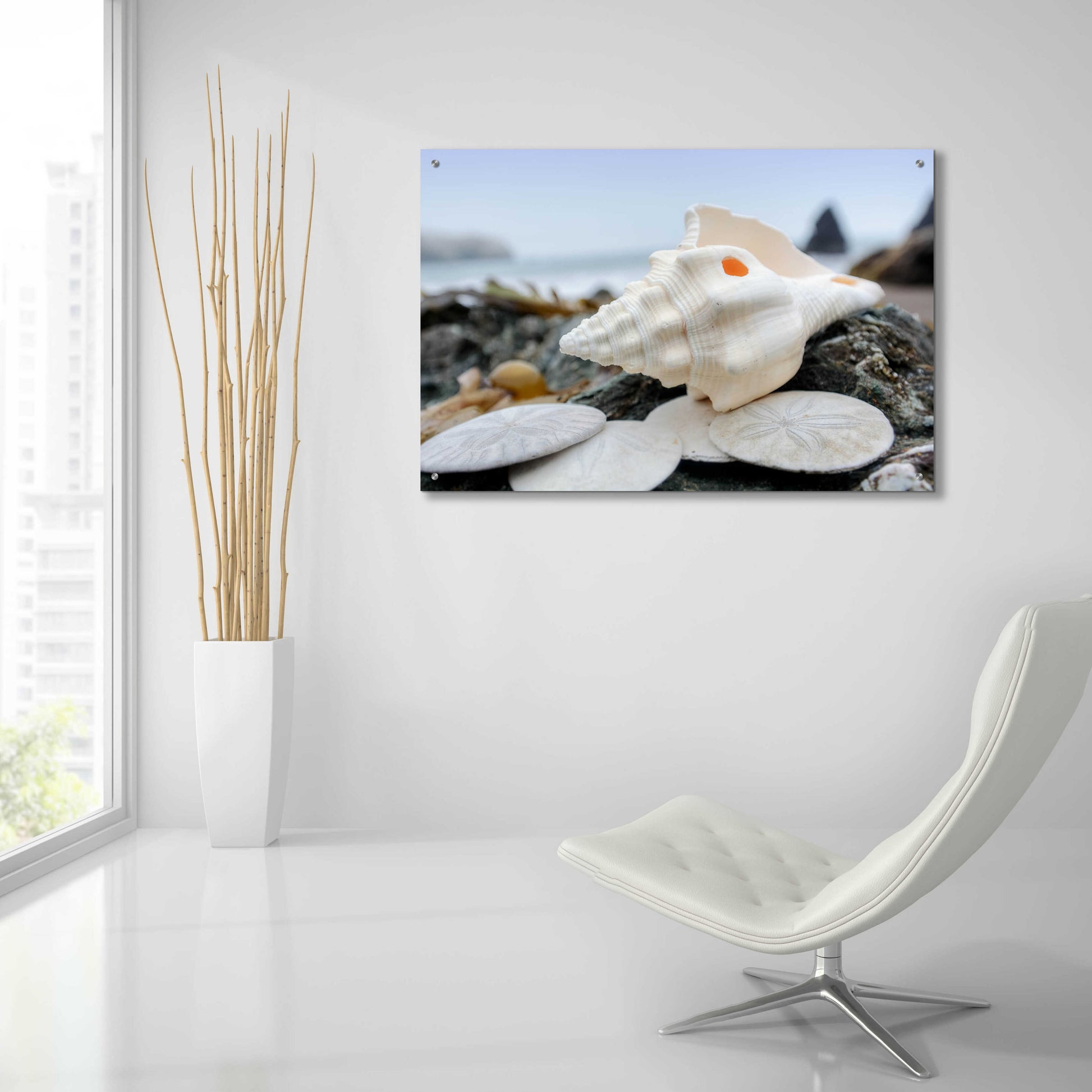 Epic Art 'Crescent Beach Shells 11' by Alan Blaustein Acrylic Glass Wall Art,36x24