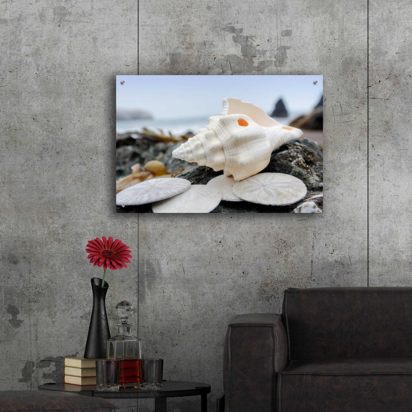 Epic Art 'Crescent Beach Shells 11' by Alan Blaustein Acrylic Glass Wall Art,36x24