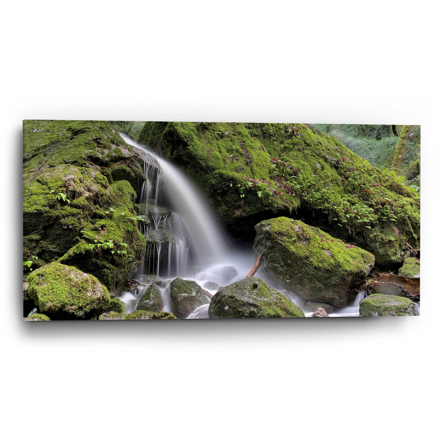 Epic Art 'Canyon Falls No. 13' by Alan Blaustein Acrylic Glass Wall Art,48x24