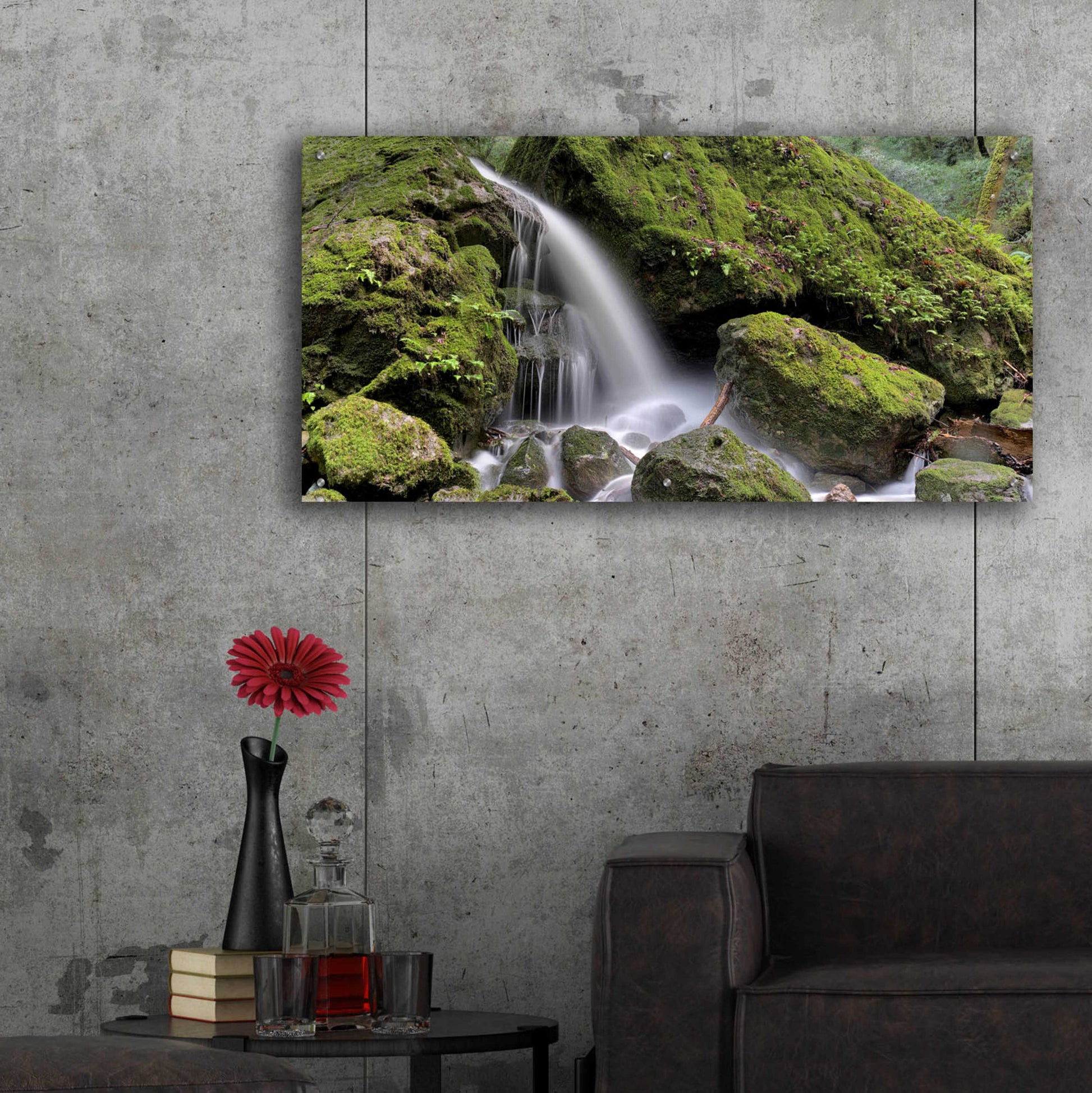 Epic Art 'Canyon Falls No. 13' by Alan Blaustein Acrylic Glass Wall Art,48x24