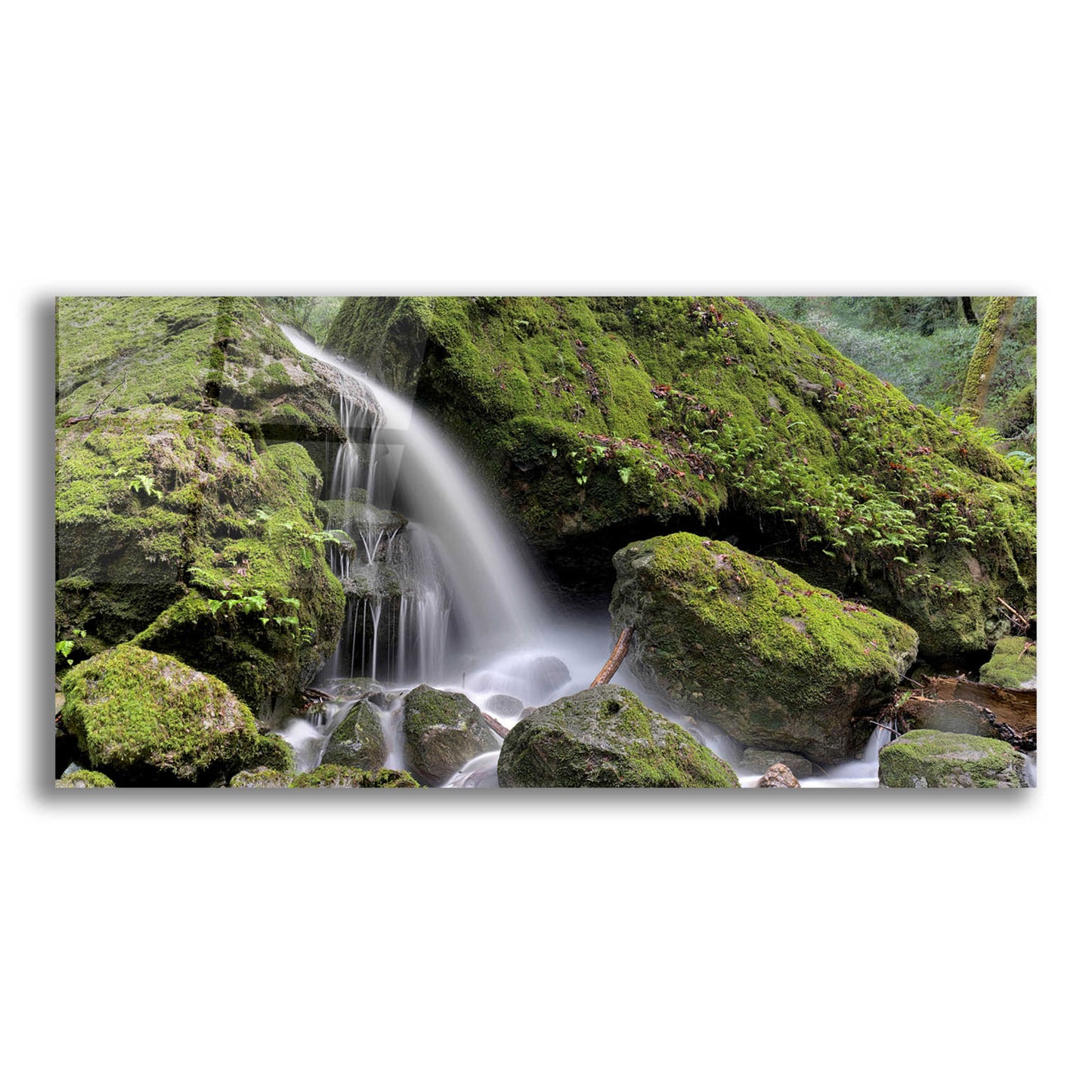 Epic Art 'Canyon Falls No. 13' by Alan Blaustein Acrylic Glass Wall Art