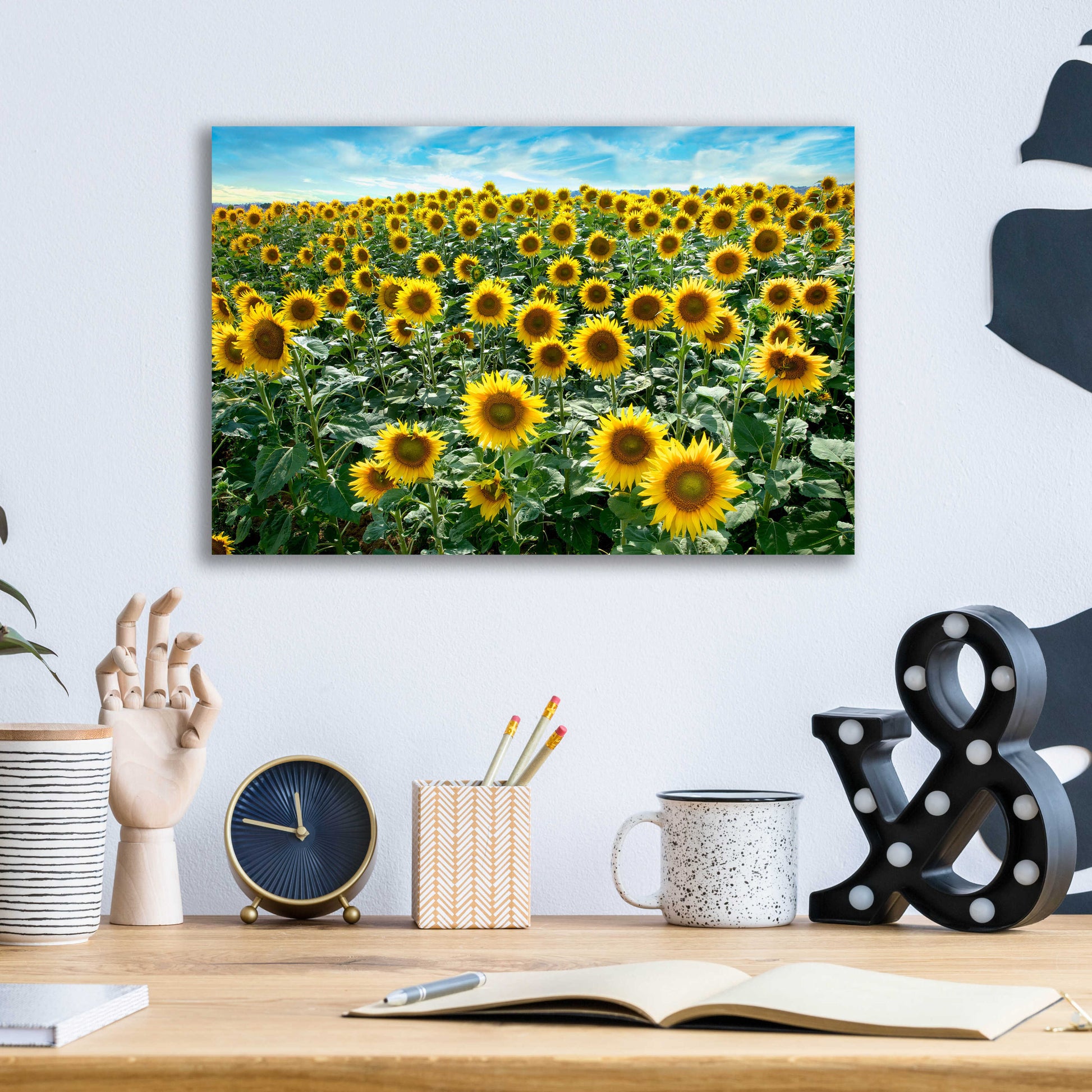 Epic Art 'Cortona Sunflowers 1' by Alan Blaustein Acrylic Glass Wall Art,16x12