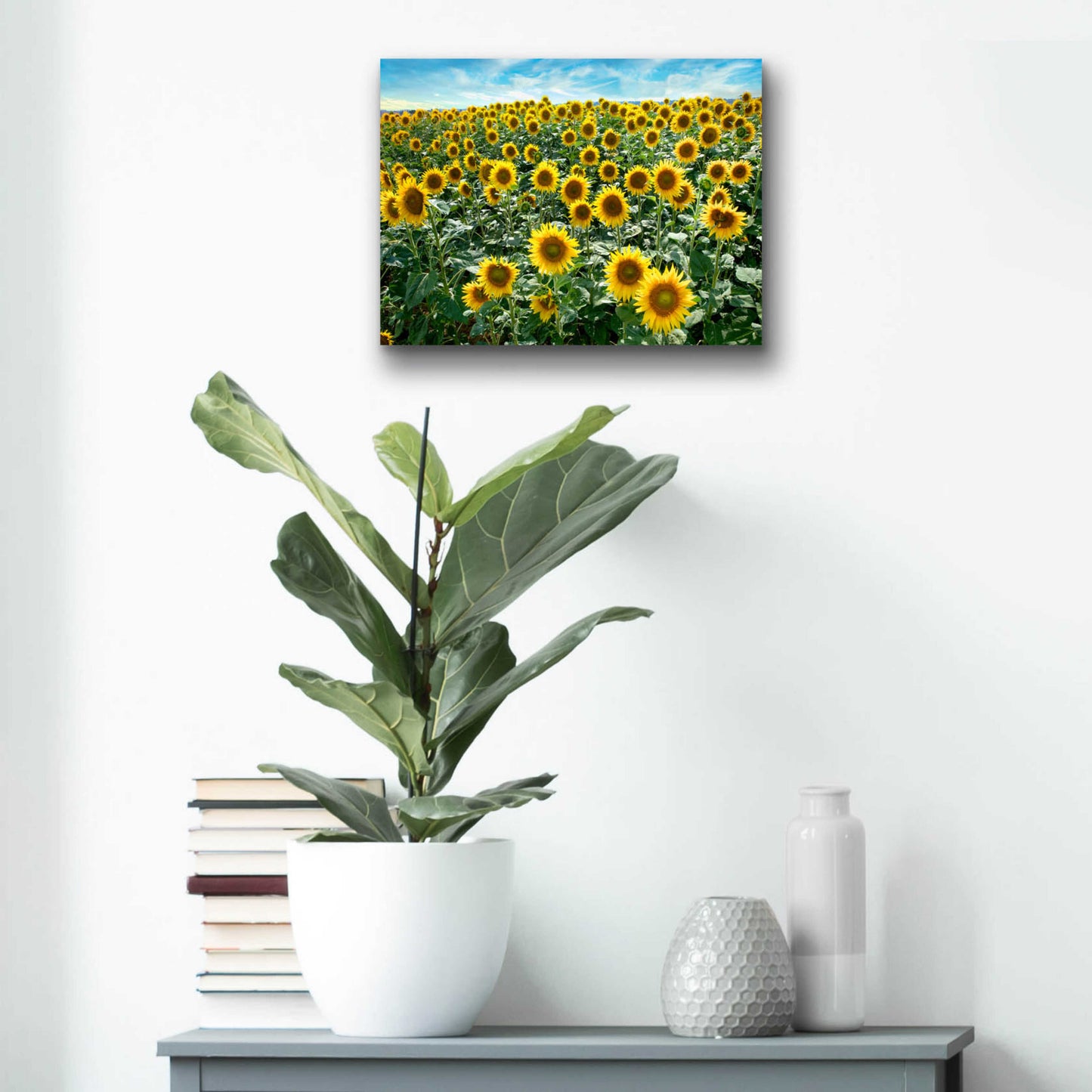 Epic Art 'Cortona Sunflowers 1' by Alan Blaustein Acrylic Glass Wall Art,16x12