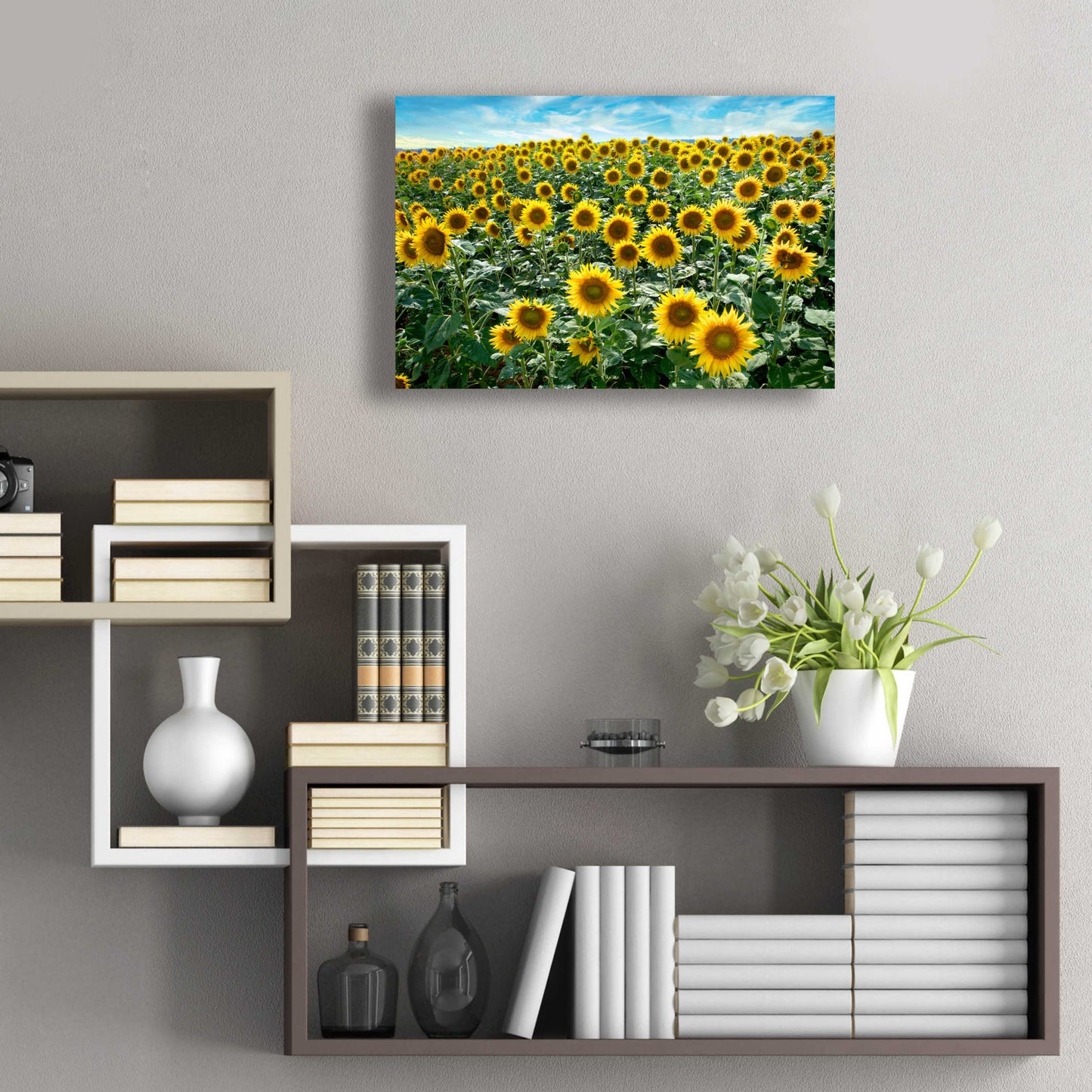 Epic Art 'Cortona Sunflowers 1' by Alan Blaustein Acrylic Glass Wall Art,24x16