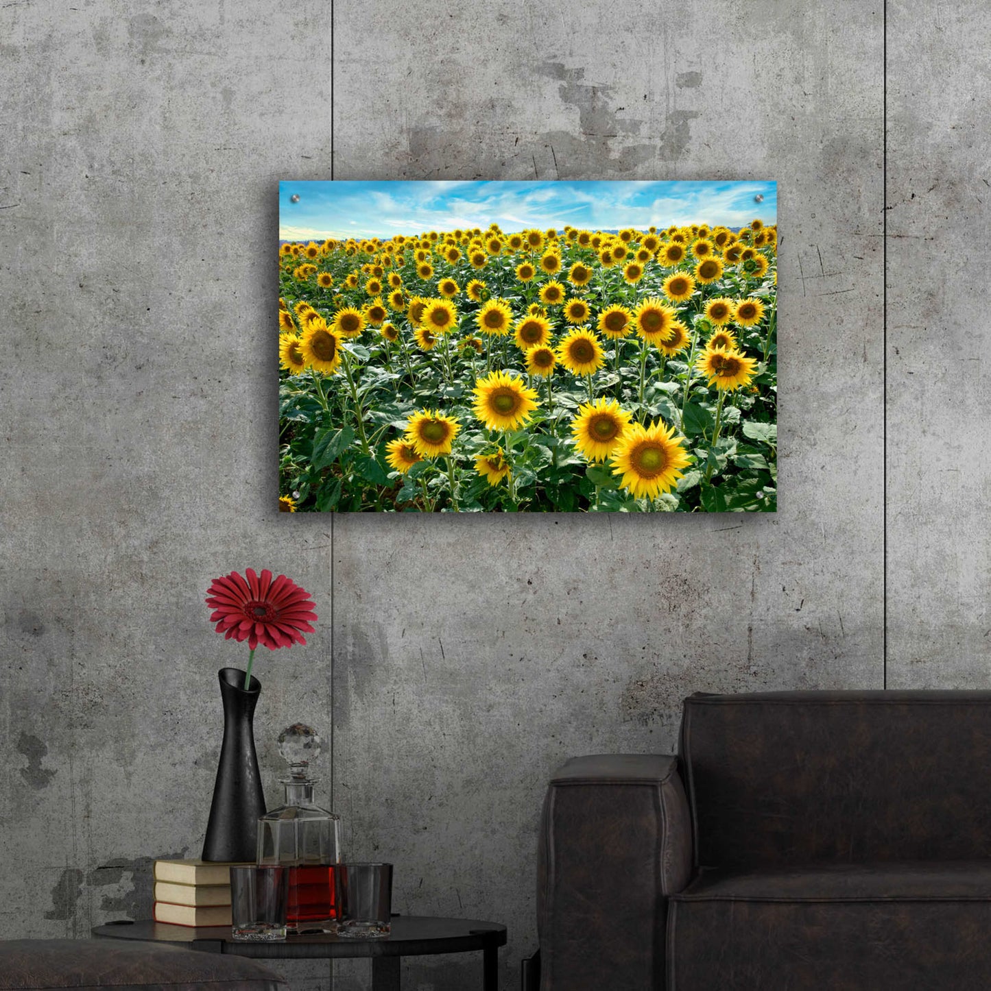 Epic Art 'Cortona Sunflowers 1' by Alan Blaustein Acrylic Glass Wall Art,36x24