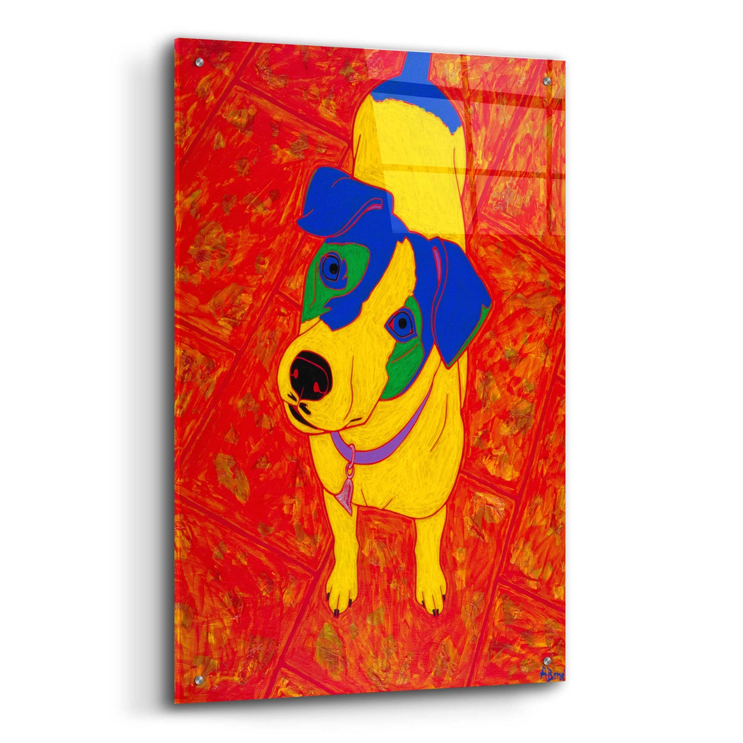 Epic Art 'Feisty Jack Russell' by Angela Bond Acrylic Glass Wall Art,24x36