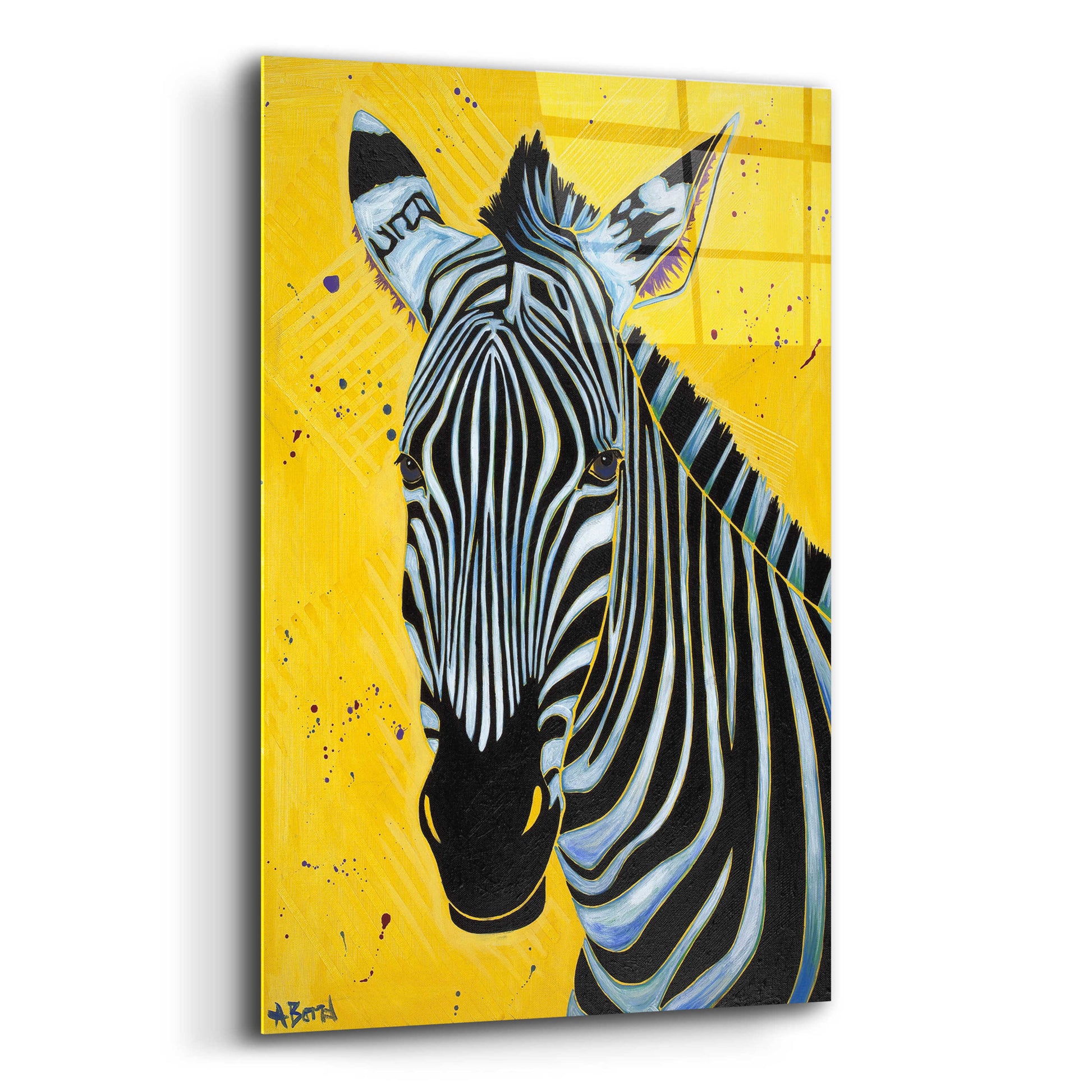 Epic Art 'Zebra' by Angela Bond Acrylic Glass Wall Art,12x16