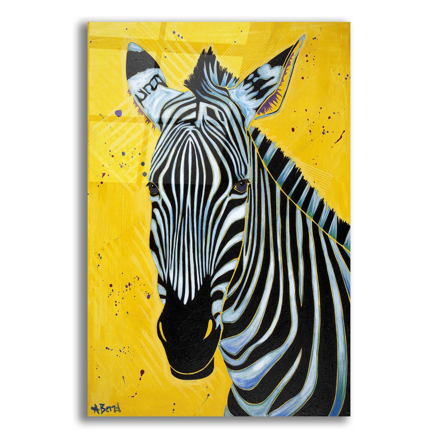 Epic Art 'Zebra' by Angela Bond Acrylic Glass Wall Art,12x16